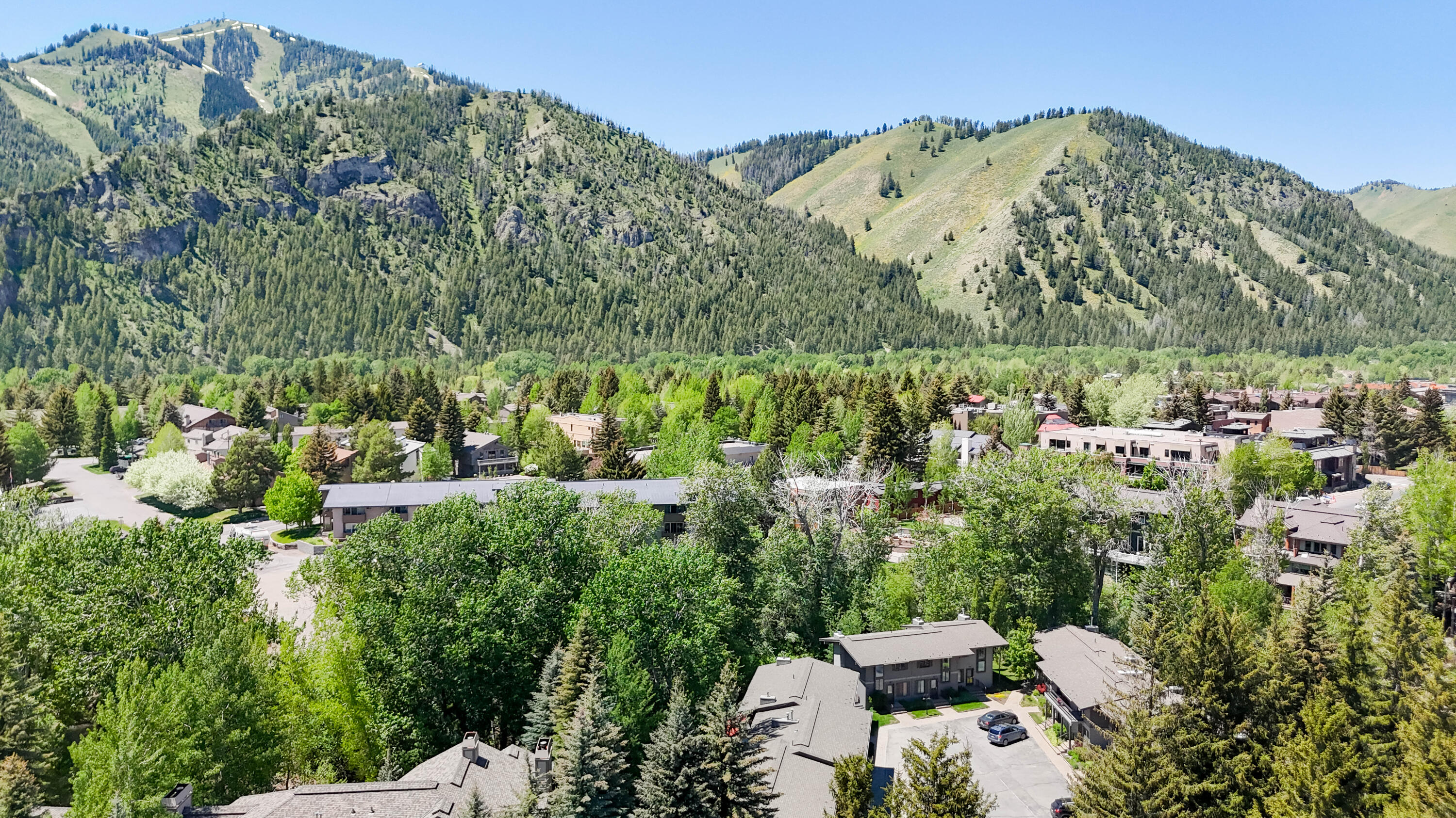 311 Andora Lane #UNIT 116, Ketchum, Idaho image 26