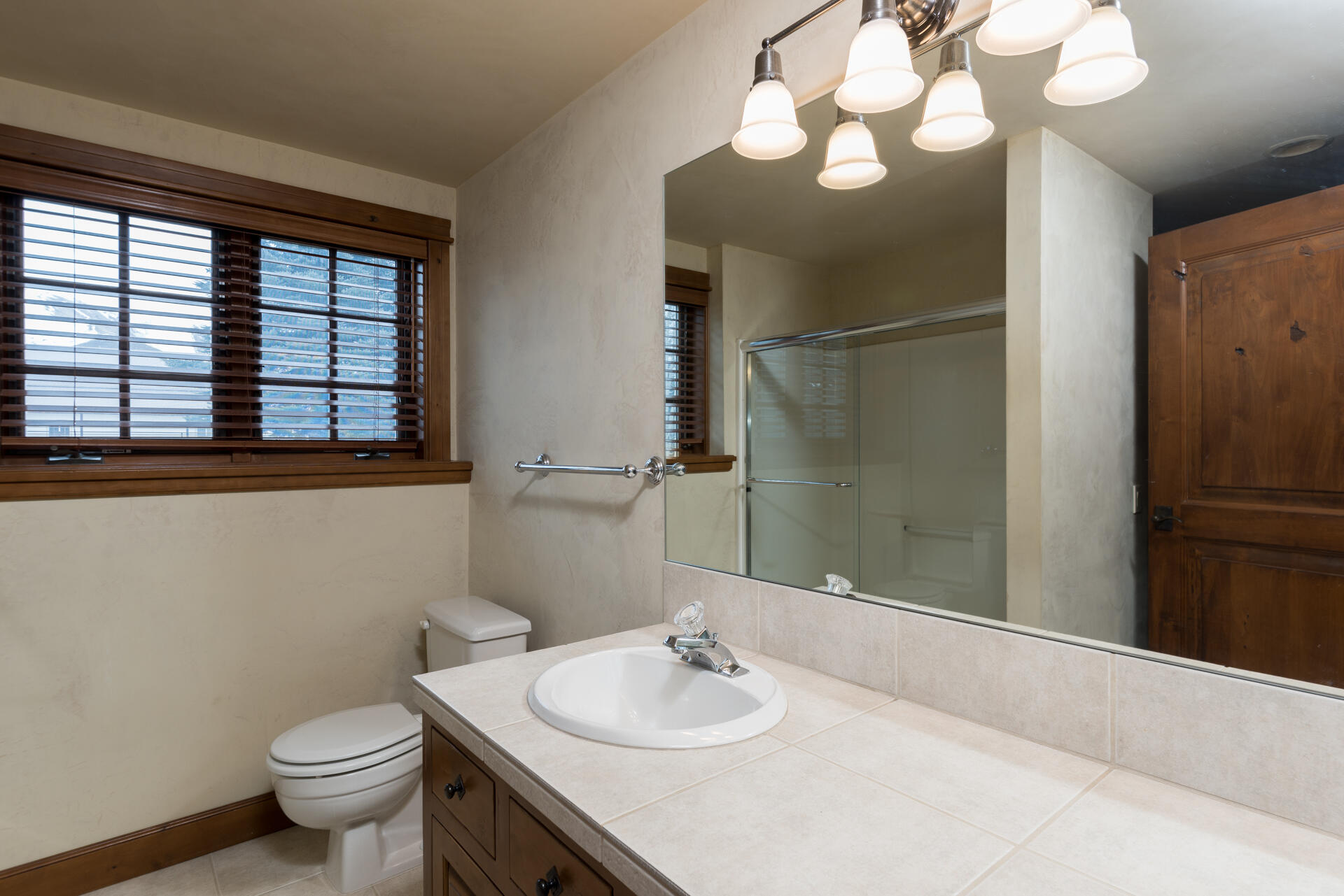 Lower Level Bathroom