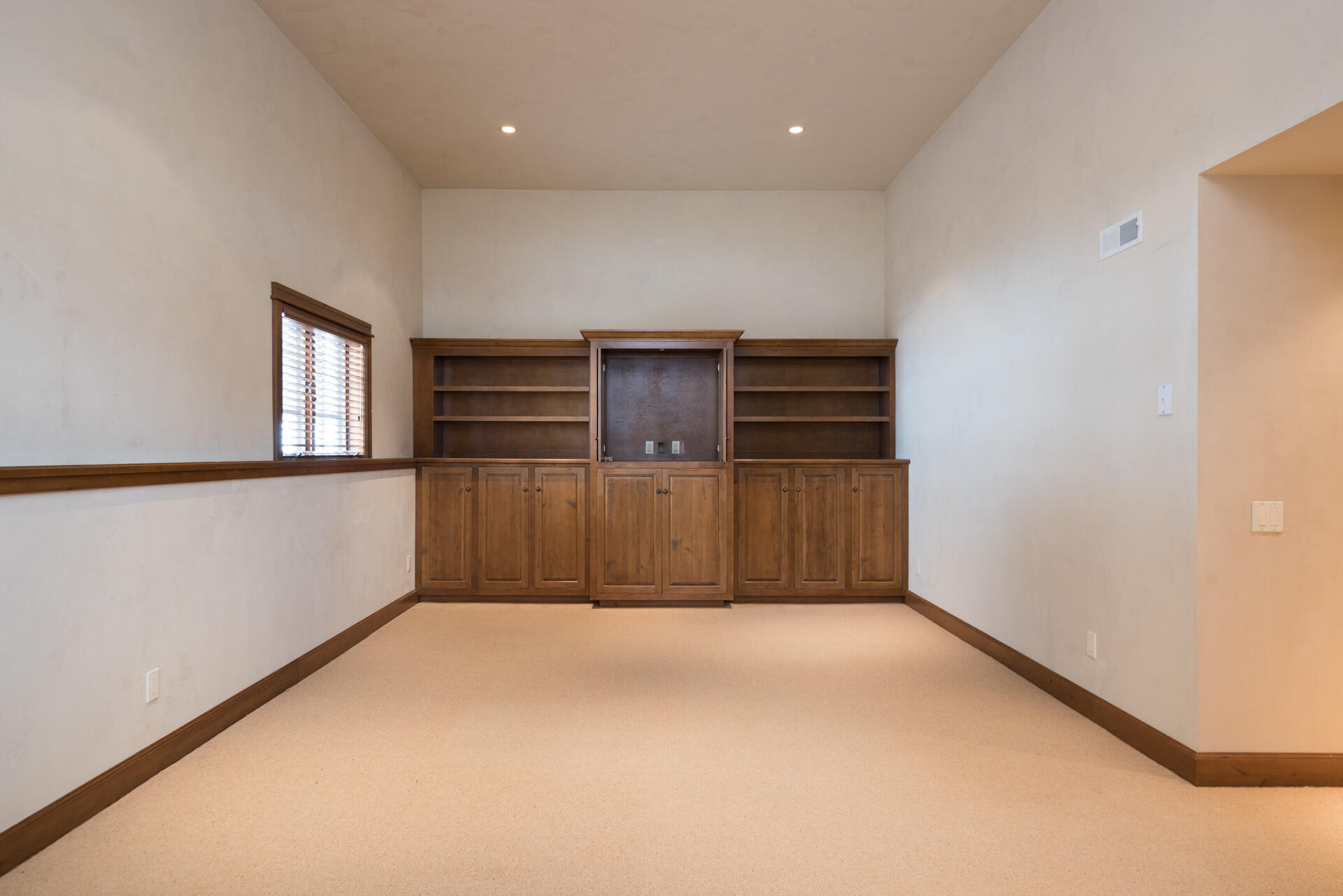 Lower Level Family Room