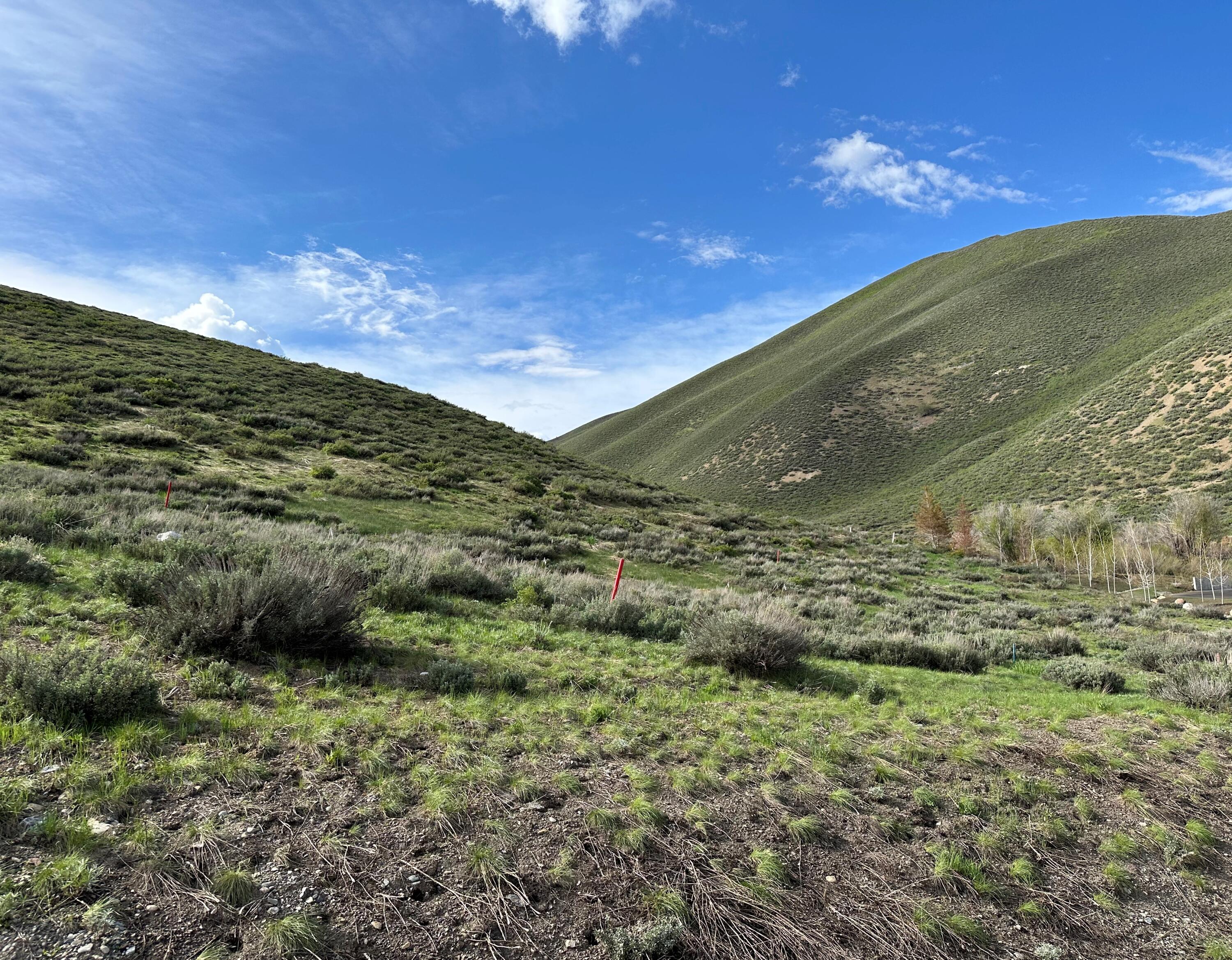 Sun Valley, Idaho 83353, United States, ,Land,Pending,72778