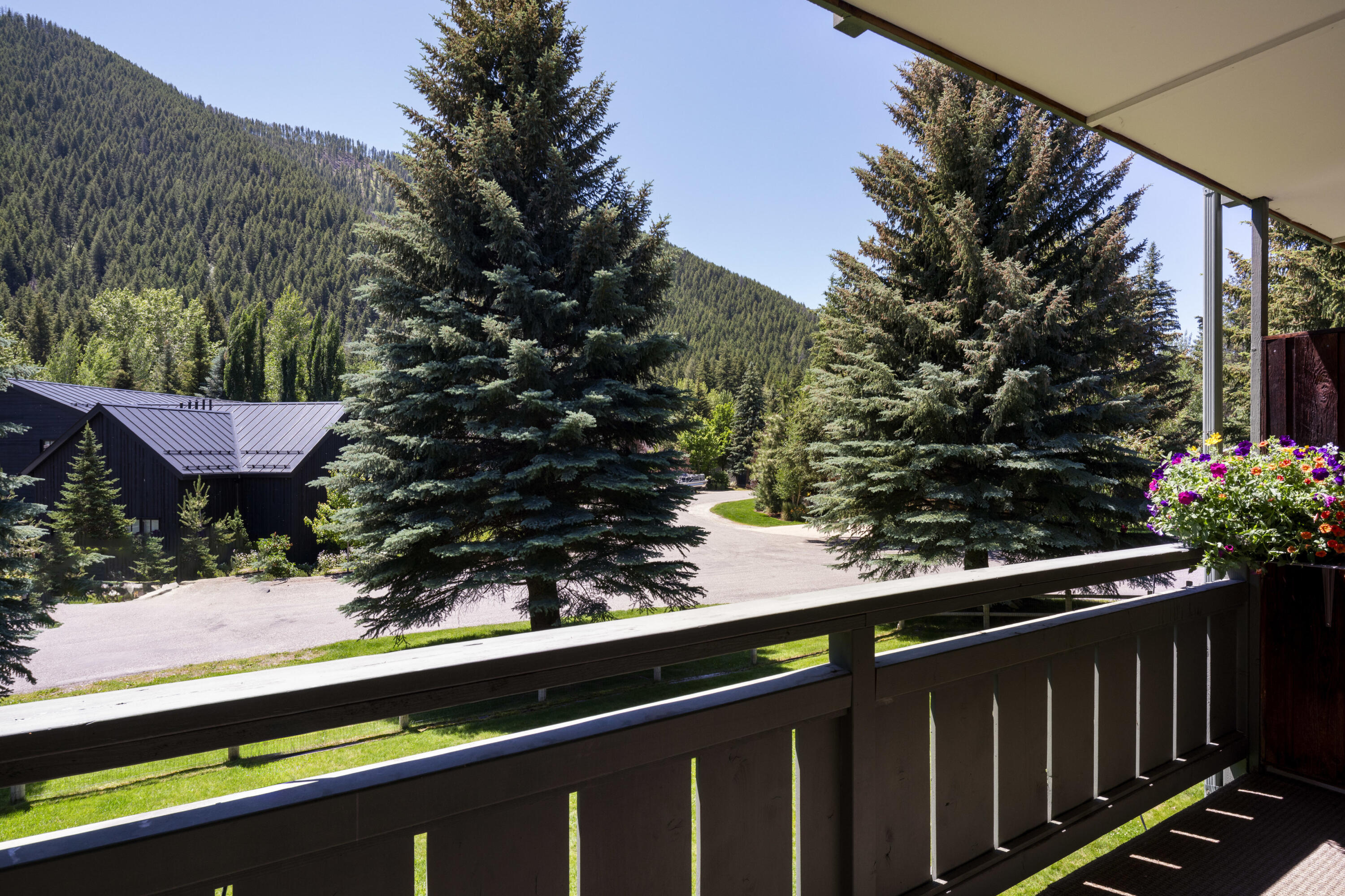 Baldy's back side from deck