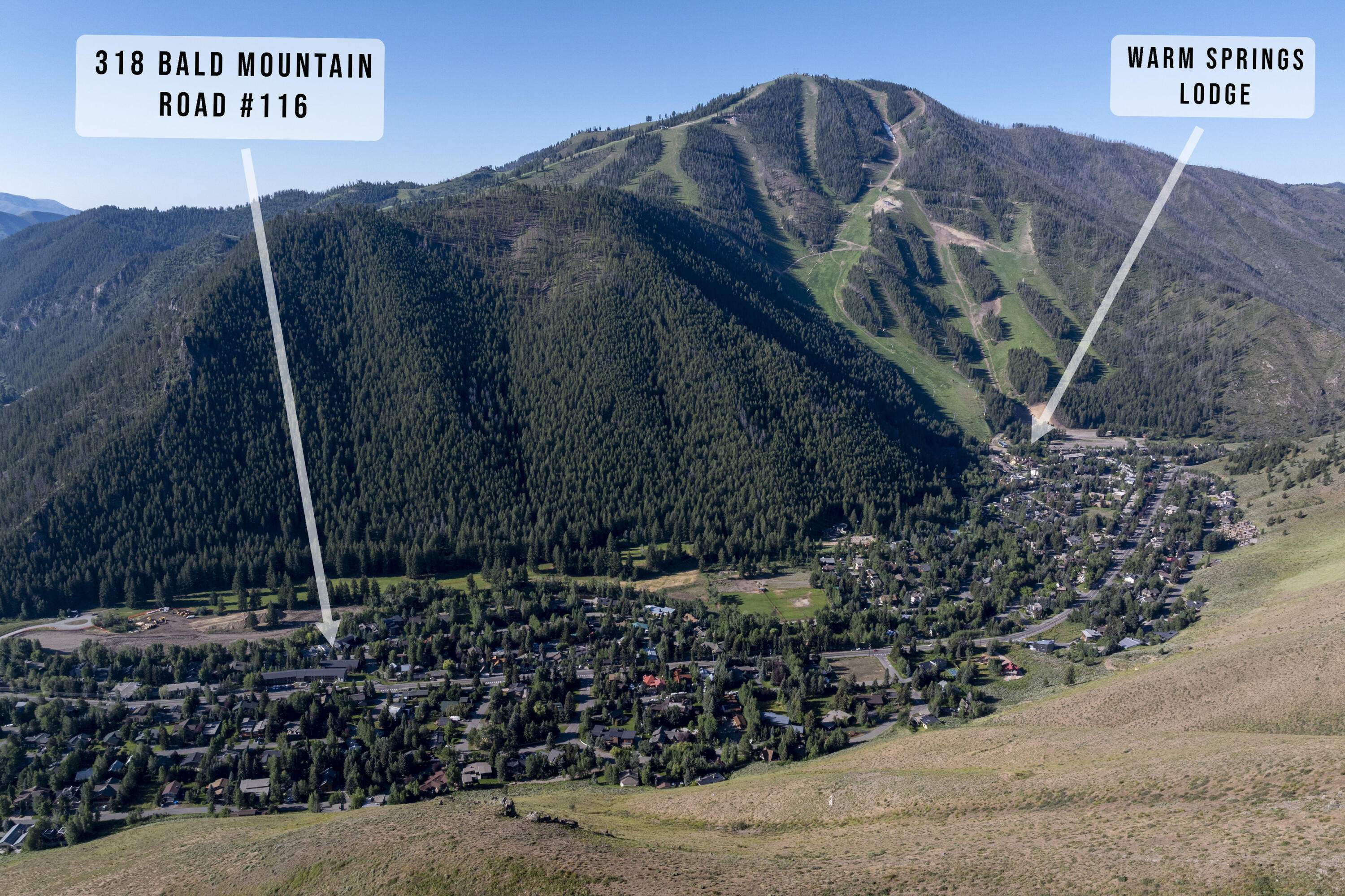 001-_baldy_-_summer_2025_2-edit_444