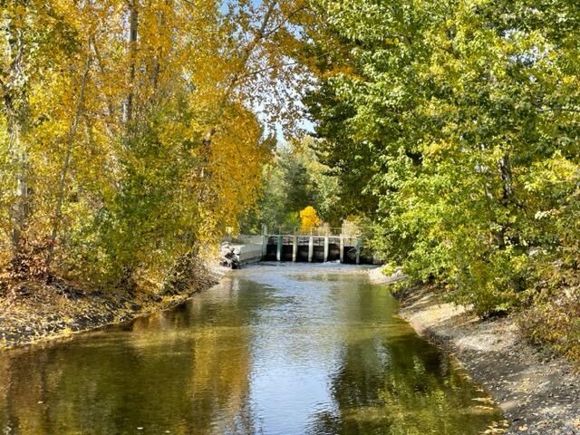 604 Rosewood Dr, Bellevue, Idaho image 10