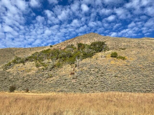604 Rosewood Dr, Bellevue, Idaho image 1