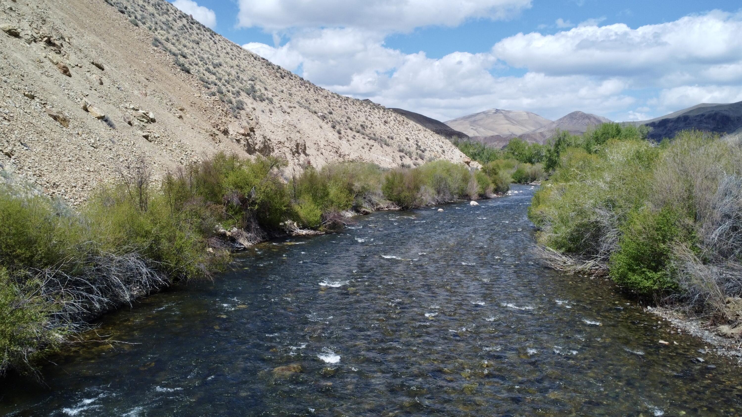 1700 Chukar Lane, Clayton, Idaho image 17