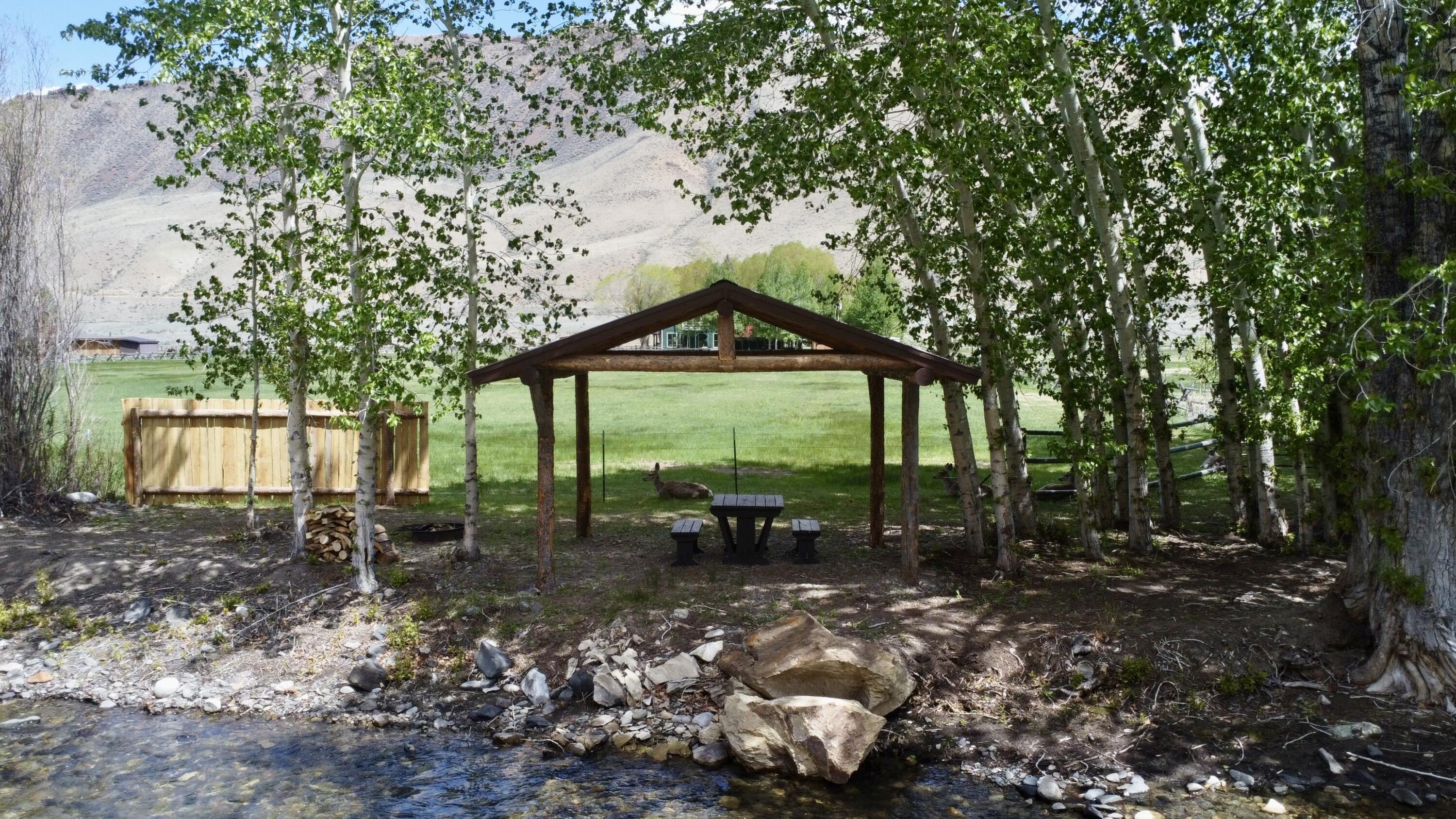 1700 Chukar Lane, Clayton, Idaho image 13