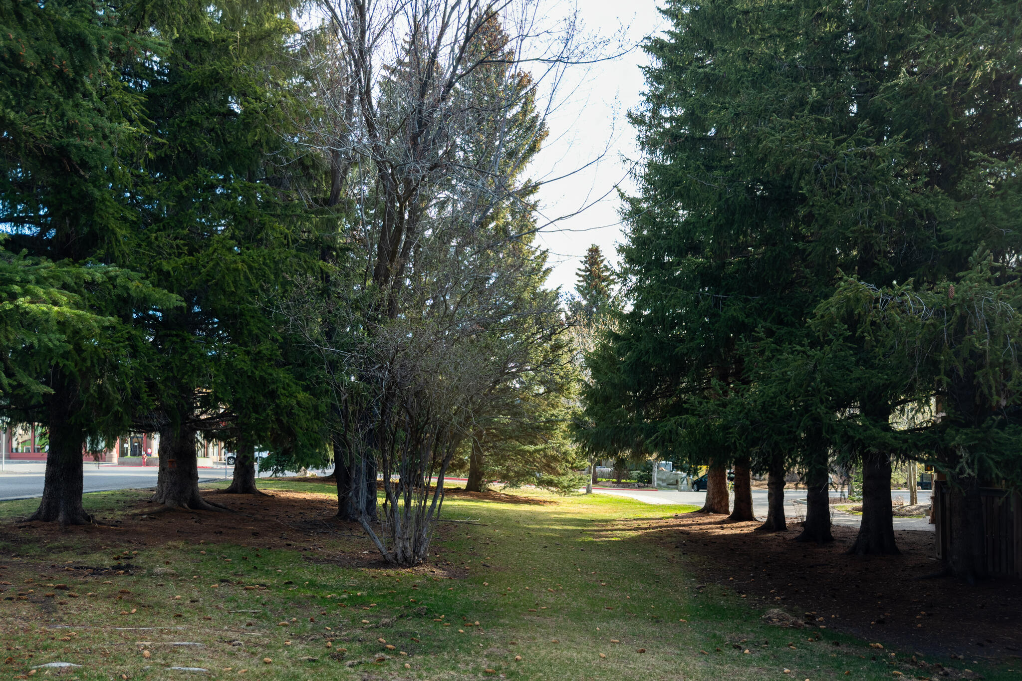 Lot view 2