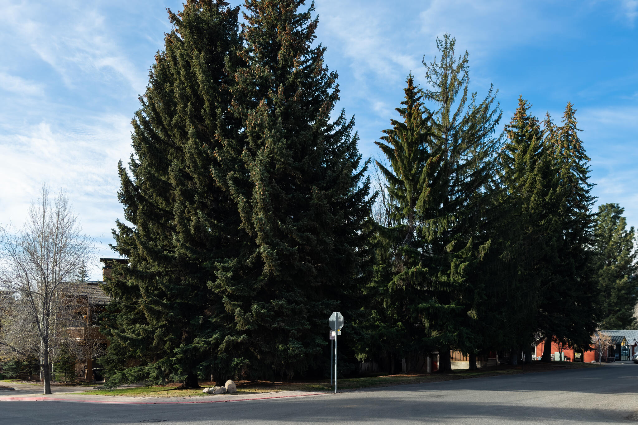 Street view of lot