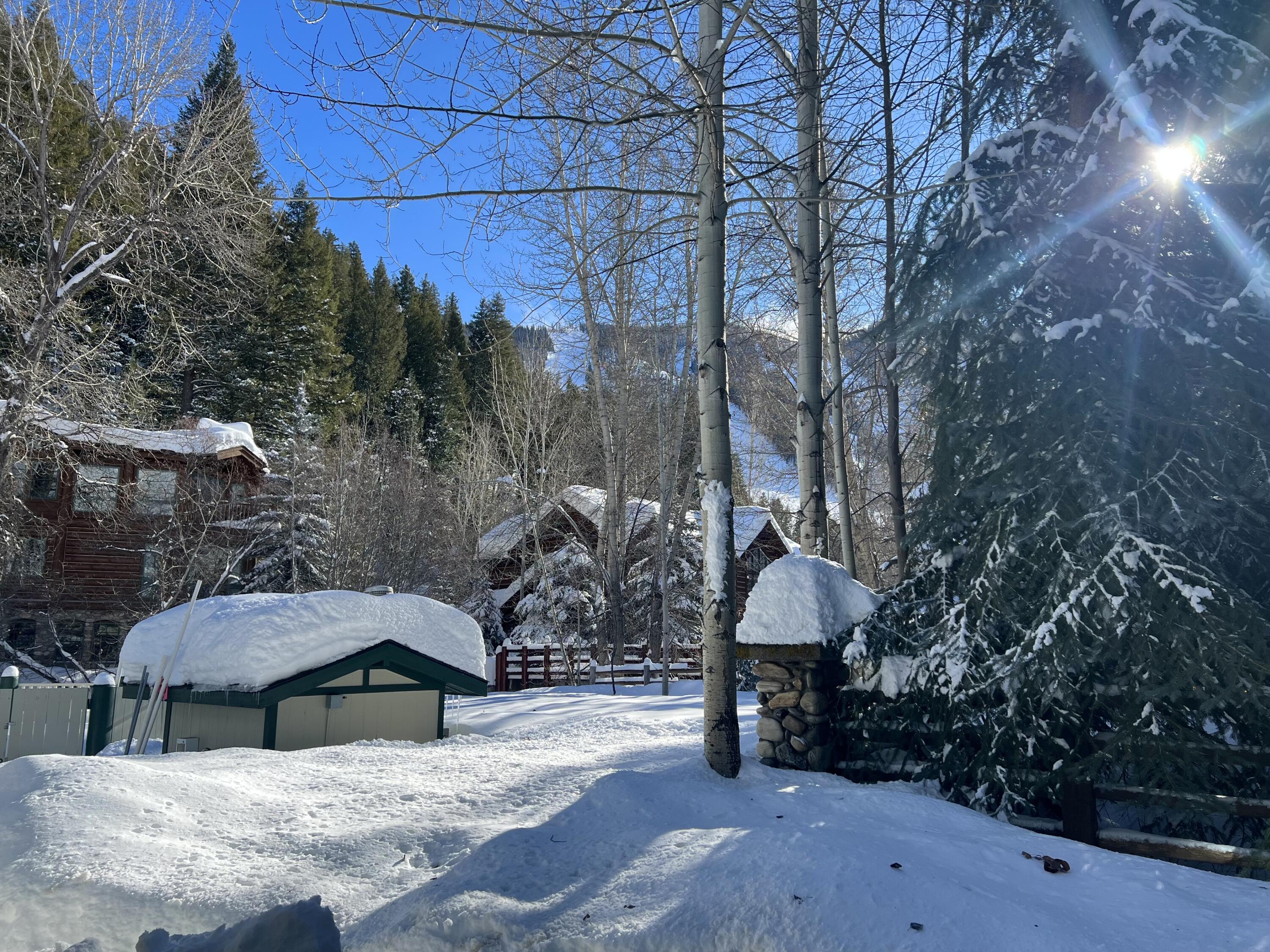 315 Skiway Dr # 118, Ketchum, Idaho image 19