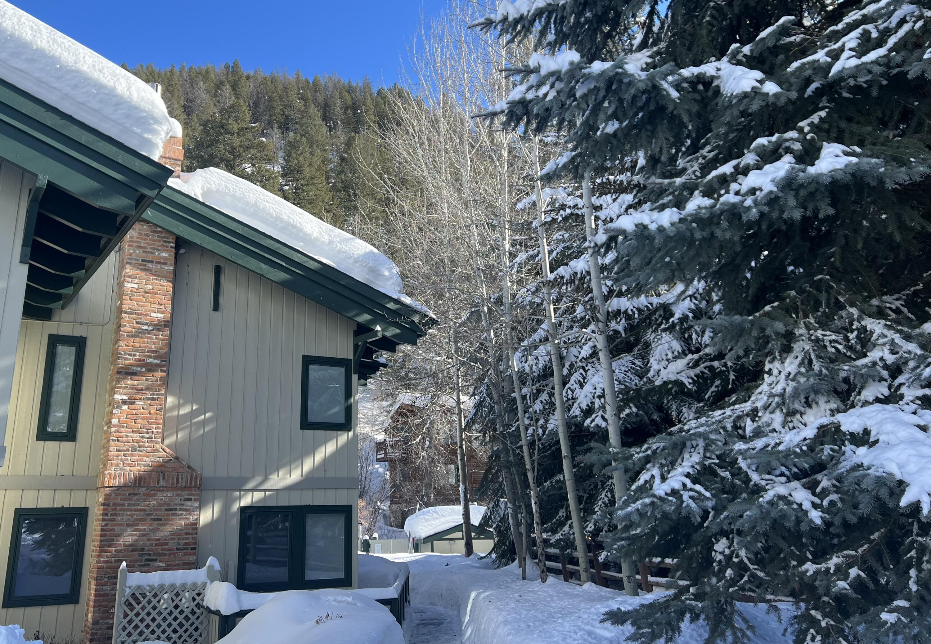 315 Skiway Dr # 118, Ketchum, Idaho image 1