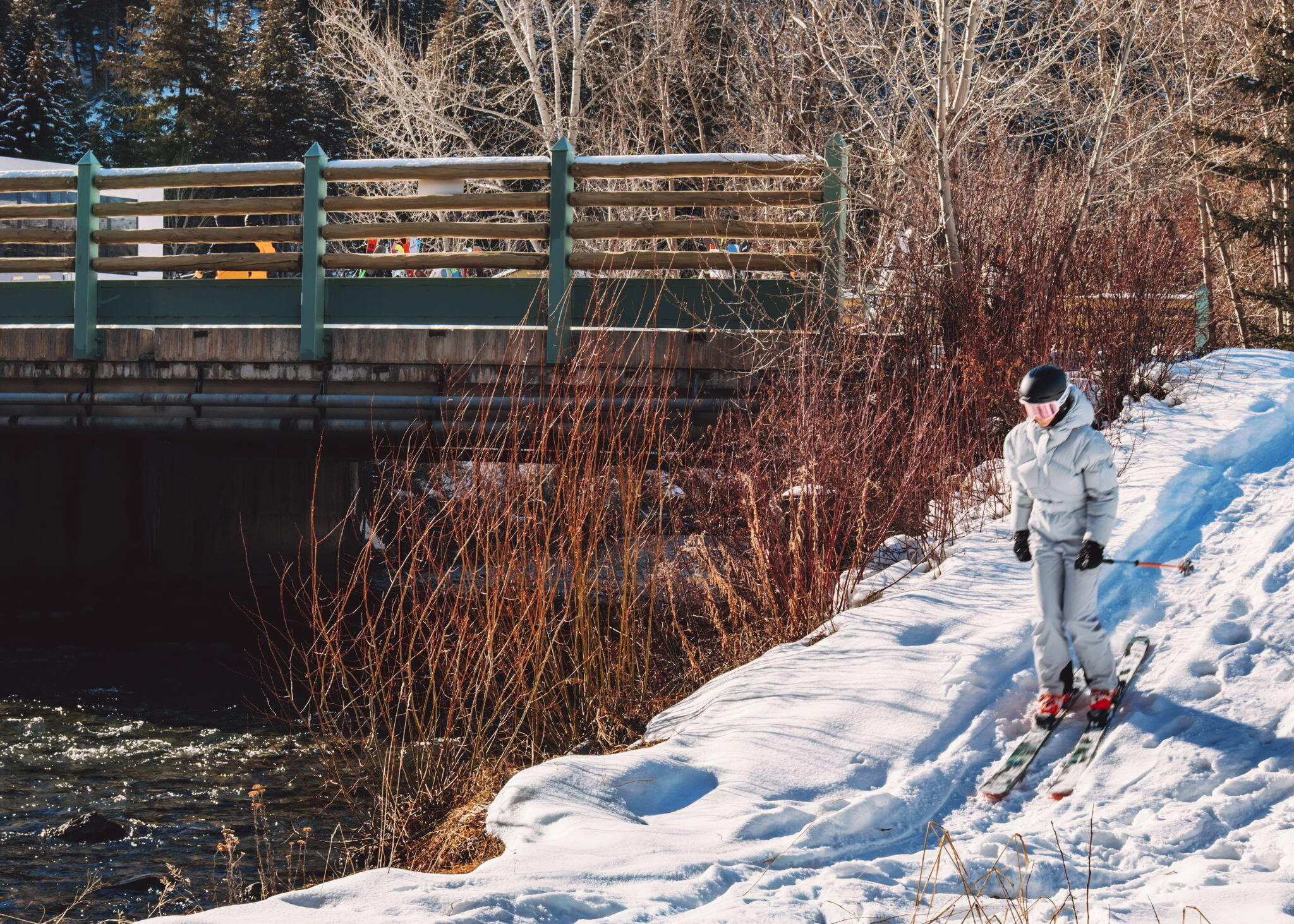 Ski-in/ski-out right next to creek
