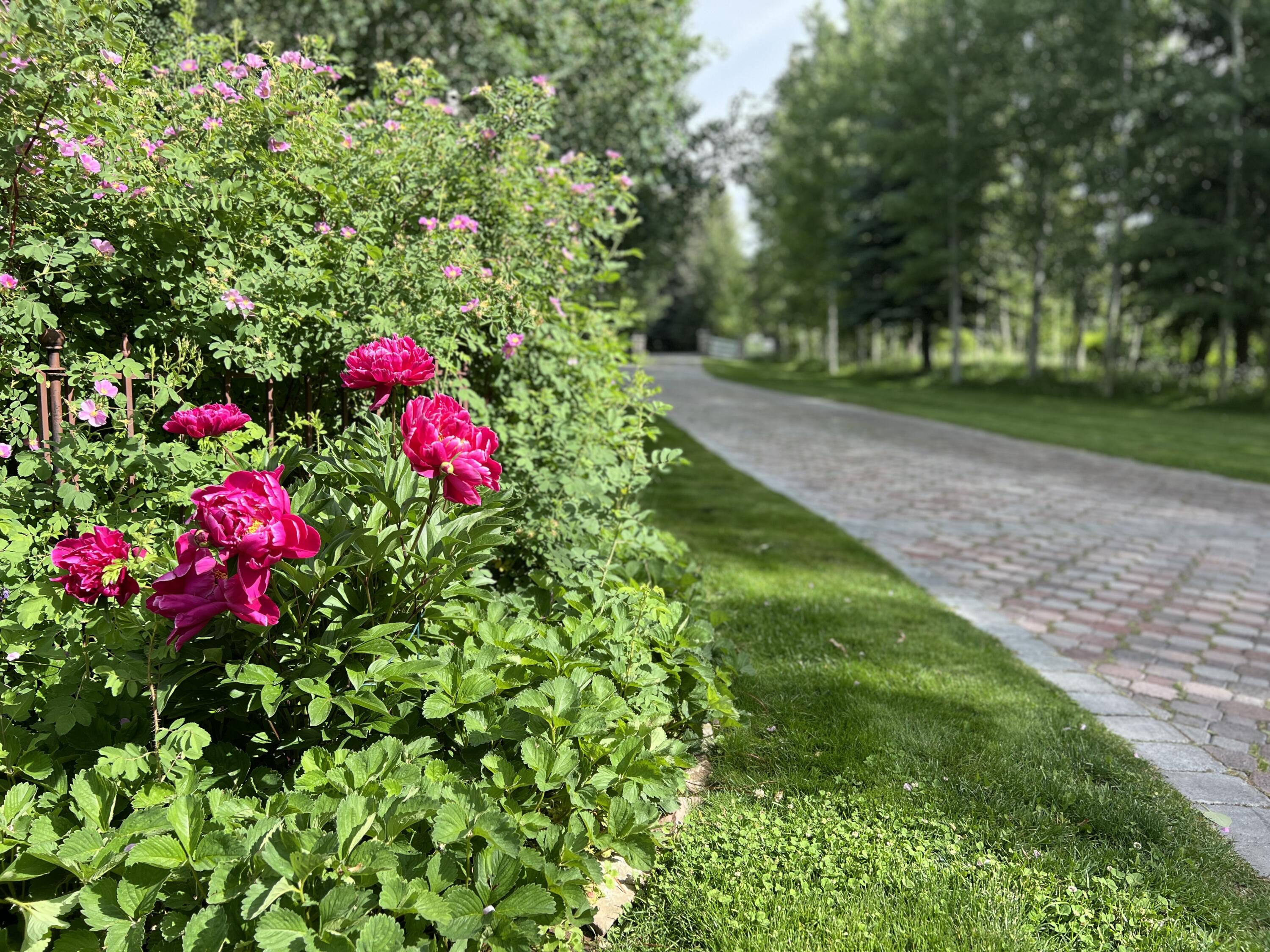 Incredible landscaping