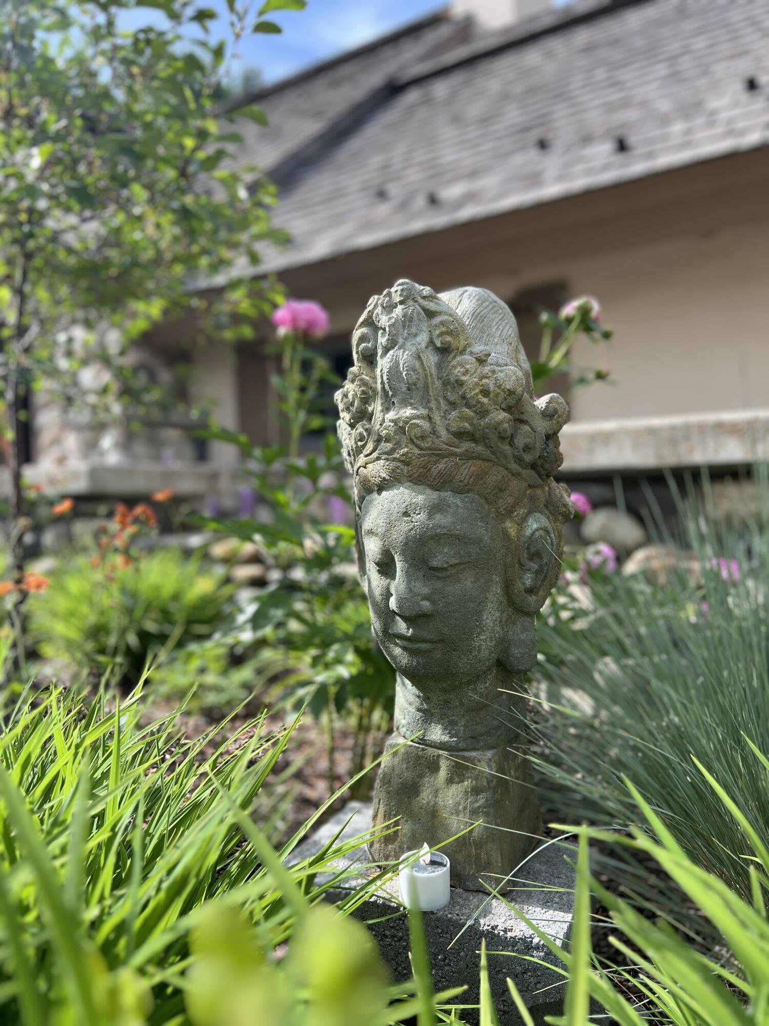 The more you look the more you see.