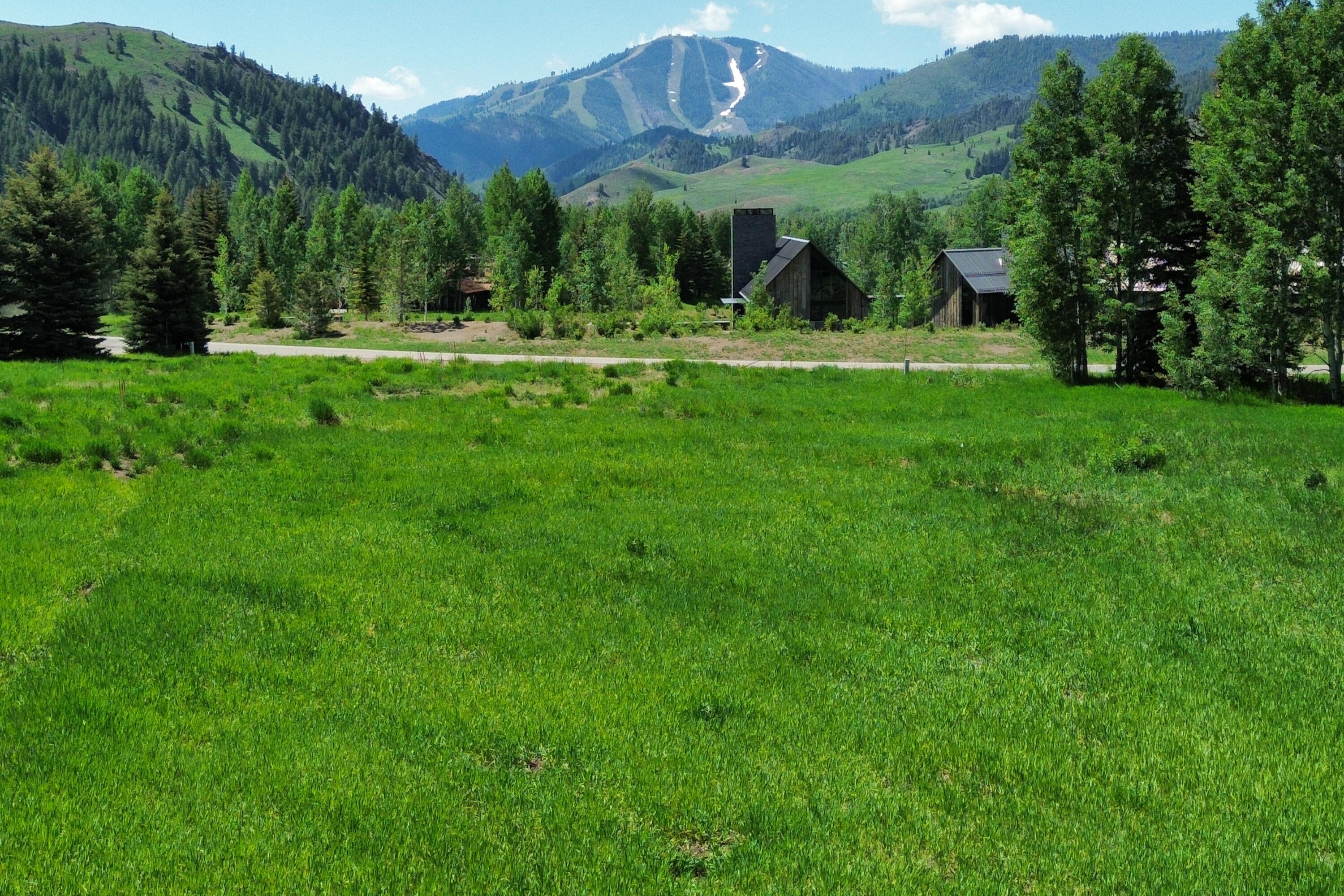 Blaine County, Idaho 83340, United States, ,Land,Active,153098