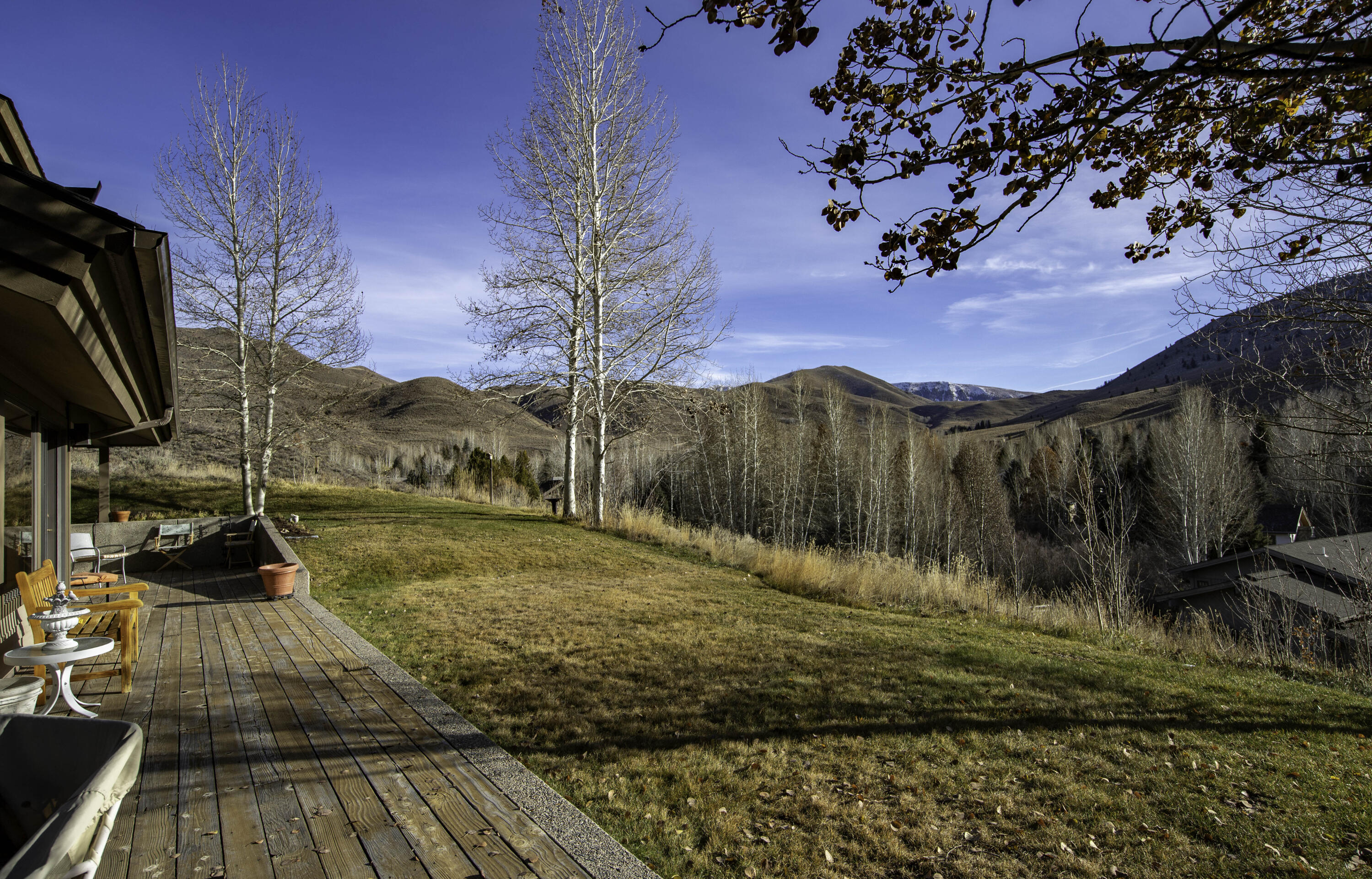 Back Patio Yard View