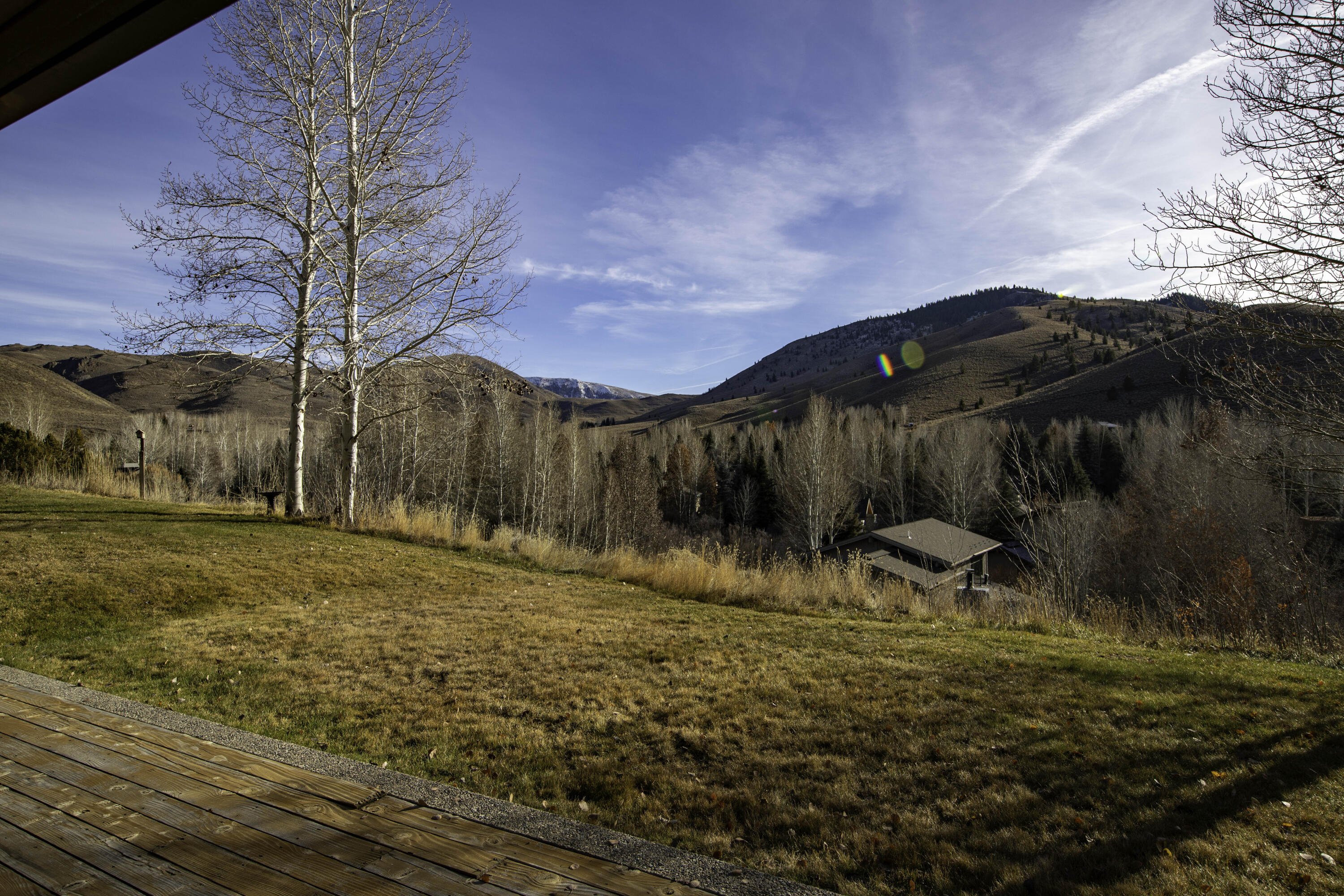 View from Back Patio