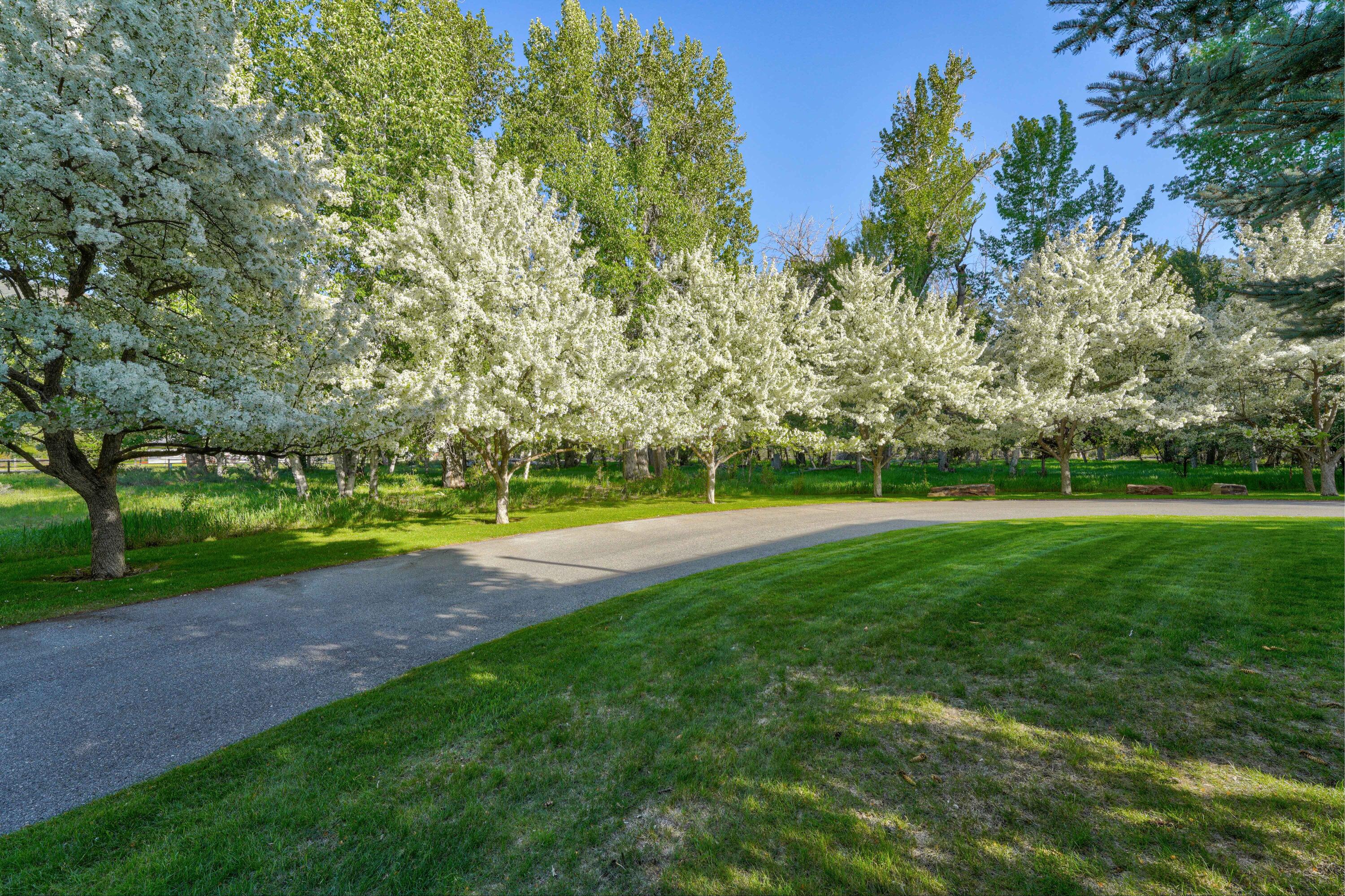1301 Glen Aspen Dr, Bellevue, Idaho image 14