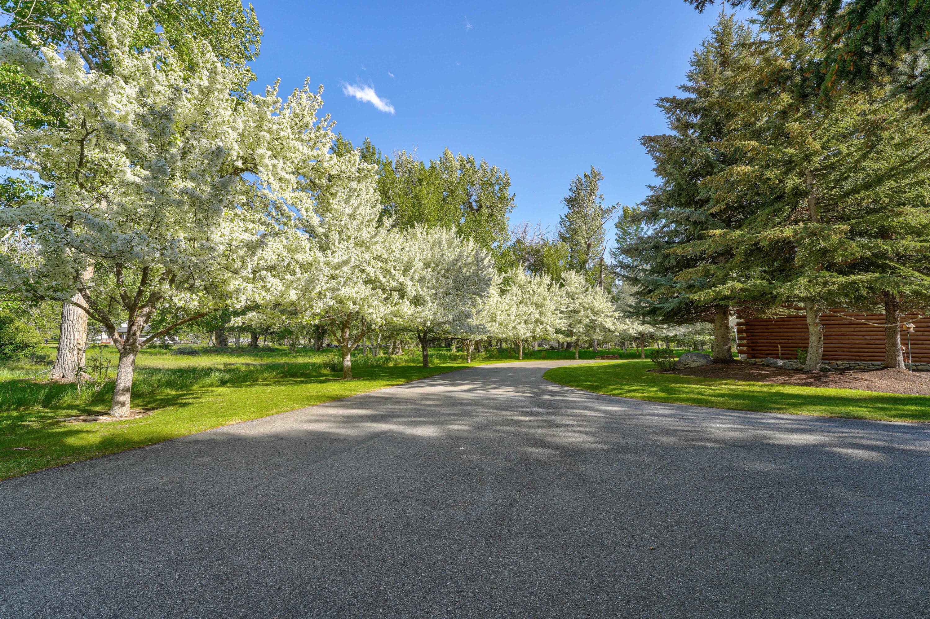 1301 Glen Aspen Dr, Bellevue, Idaho image 3
