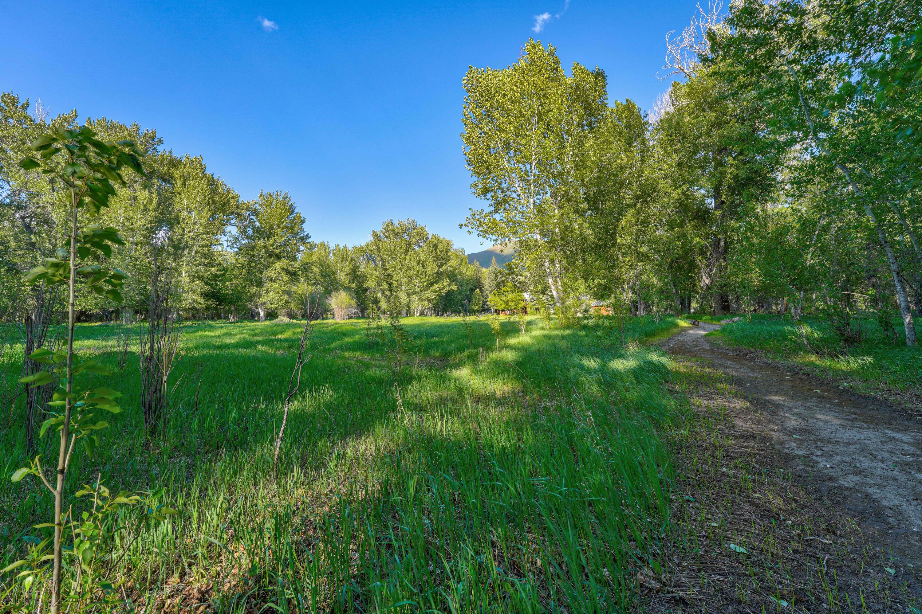 1301 Glen Aspen Dr, Bellevue, Idaho image 24