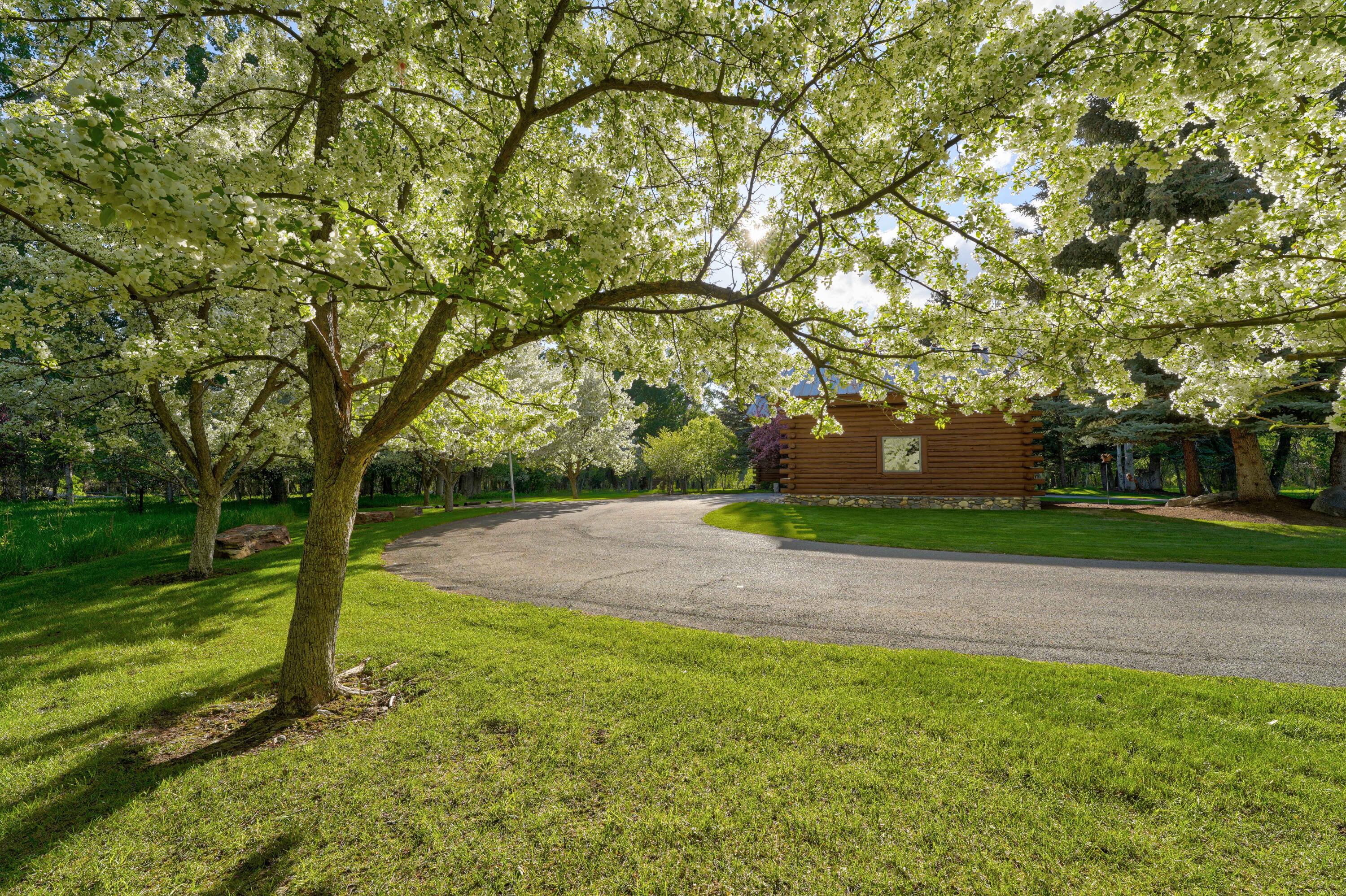 1301 Glen Aspen Dr, Bellevue, Idaho image 15