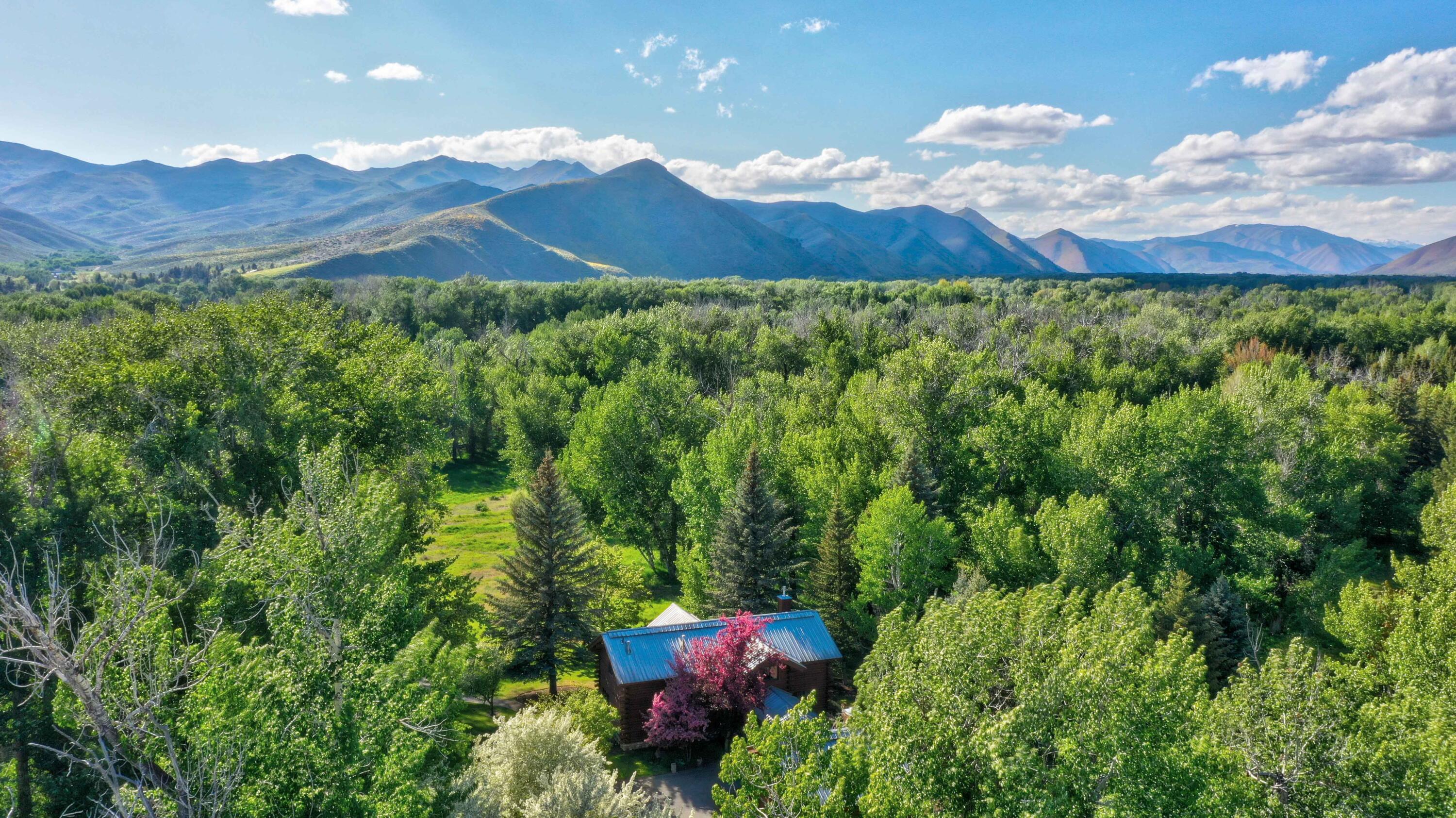 1301 Glen Aspen Dr, Bellevue, Idaho image 9