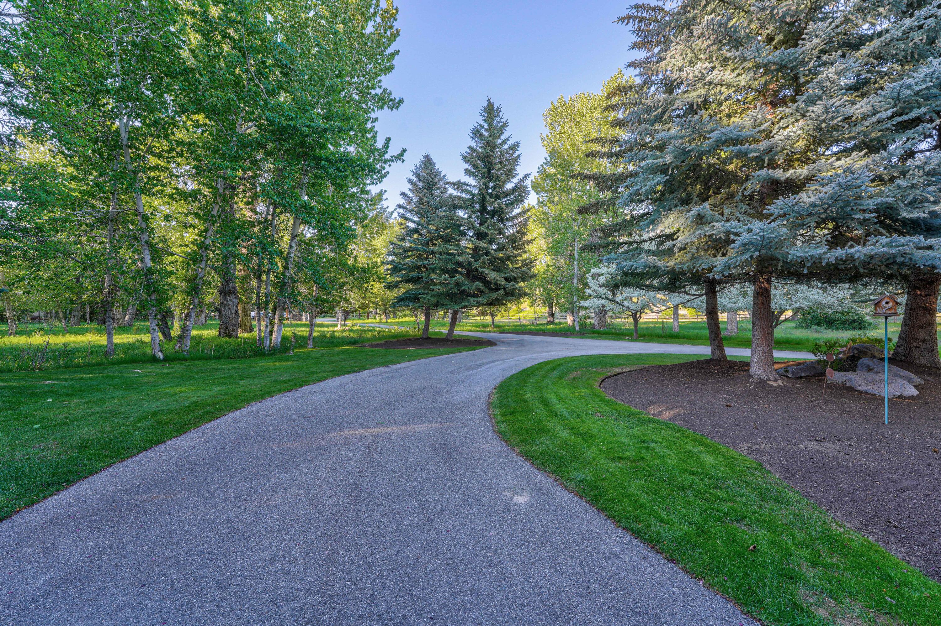 1301 Glen Aspen Dr, Bellevue, Idaho image 11