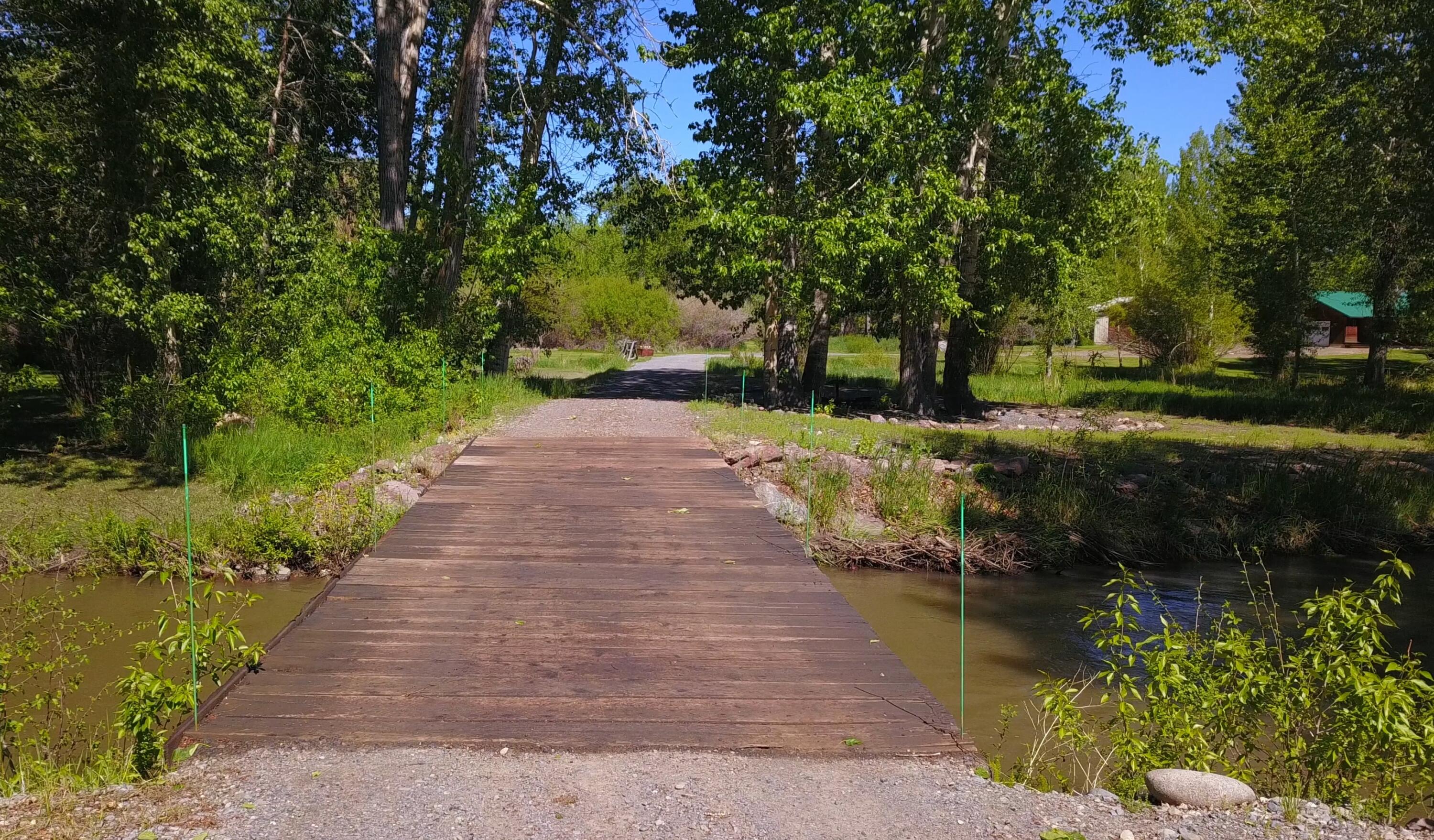 6256 Bartlett Point Rd Rd, Mackay, Idaho image 3