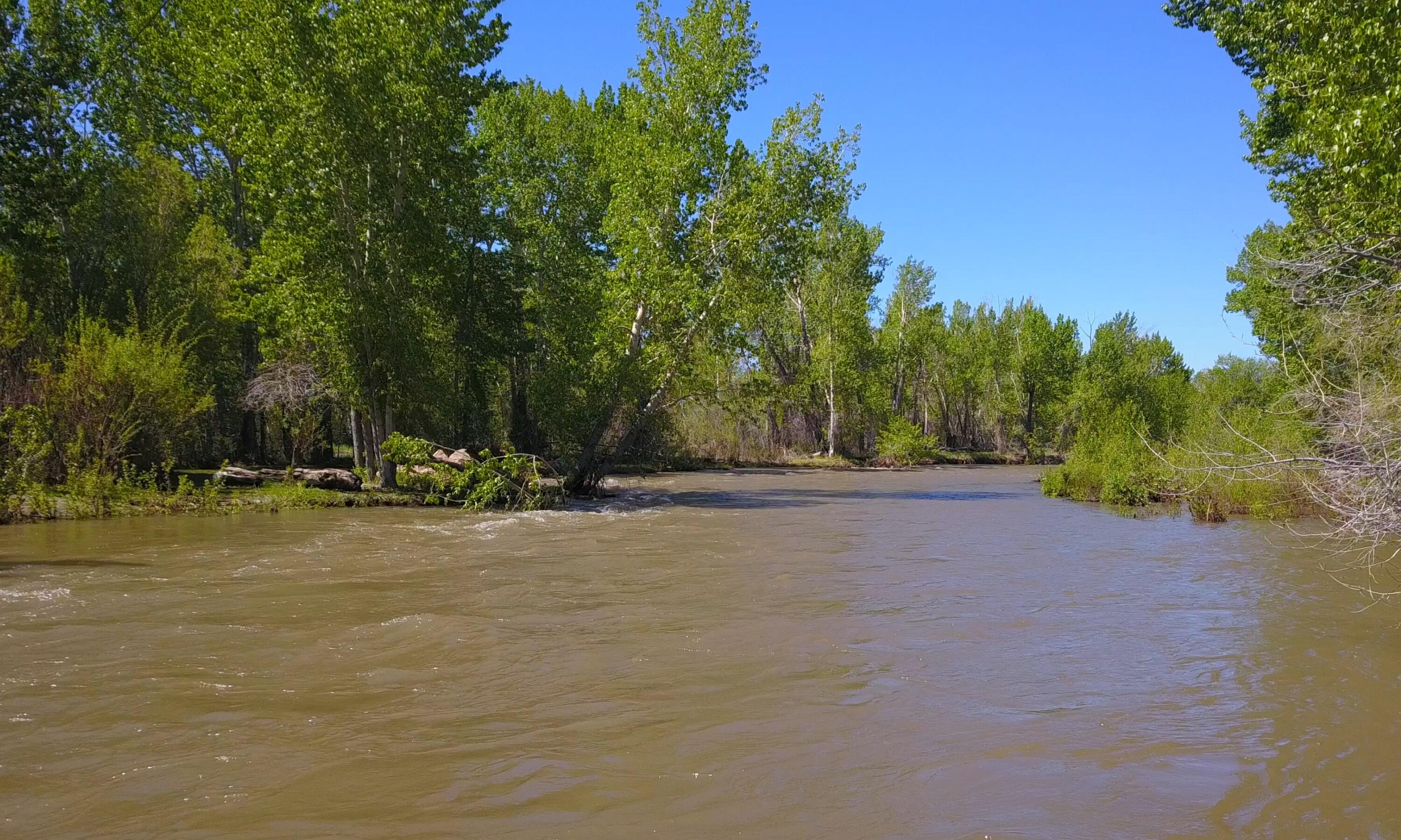 6256 Bartlett Point Rd Rd, Mackay, Idaho image 7