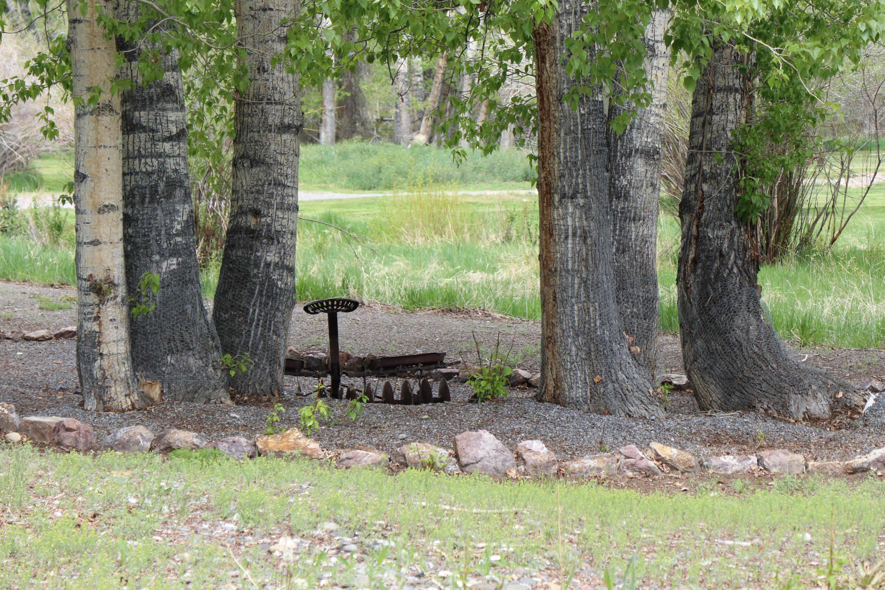 6256 Bartlett Point Rd Rd, Mackay, Idaho image 13