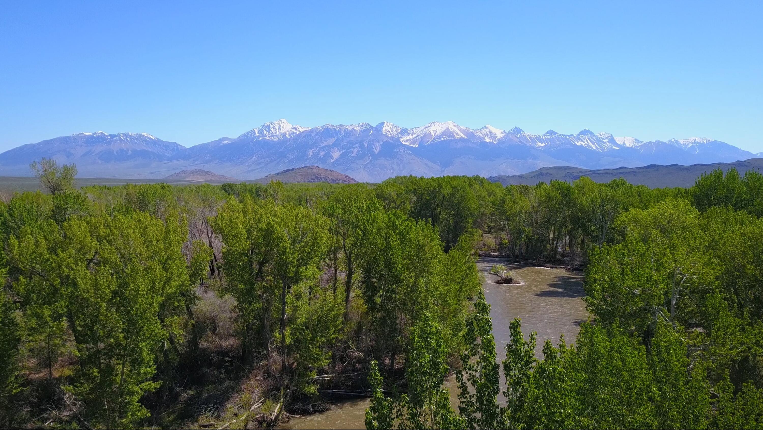 6256 Bartlett Point Rd Rd, Mackay, Idaho image 4