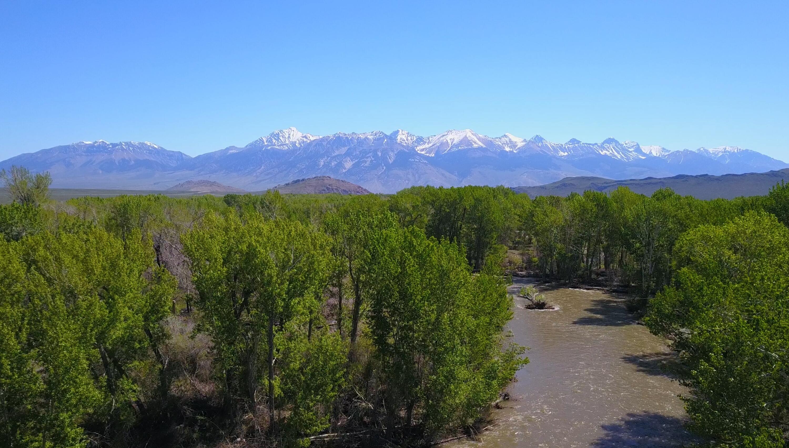 6256 Bartlett Point Rd Rd, Mackay, Idaho image 10