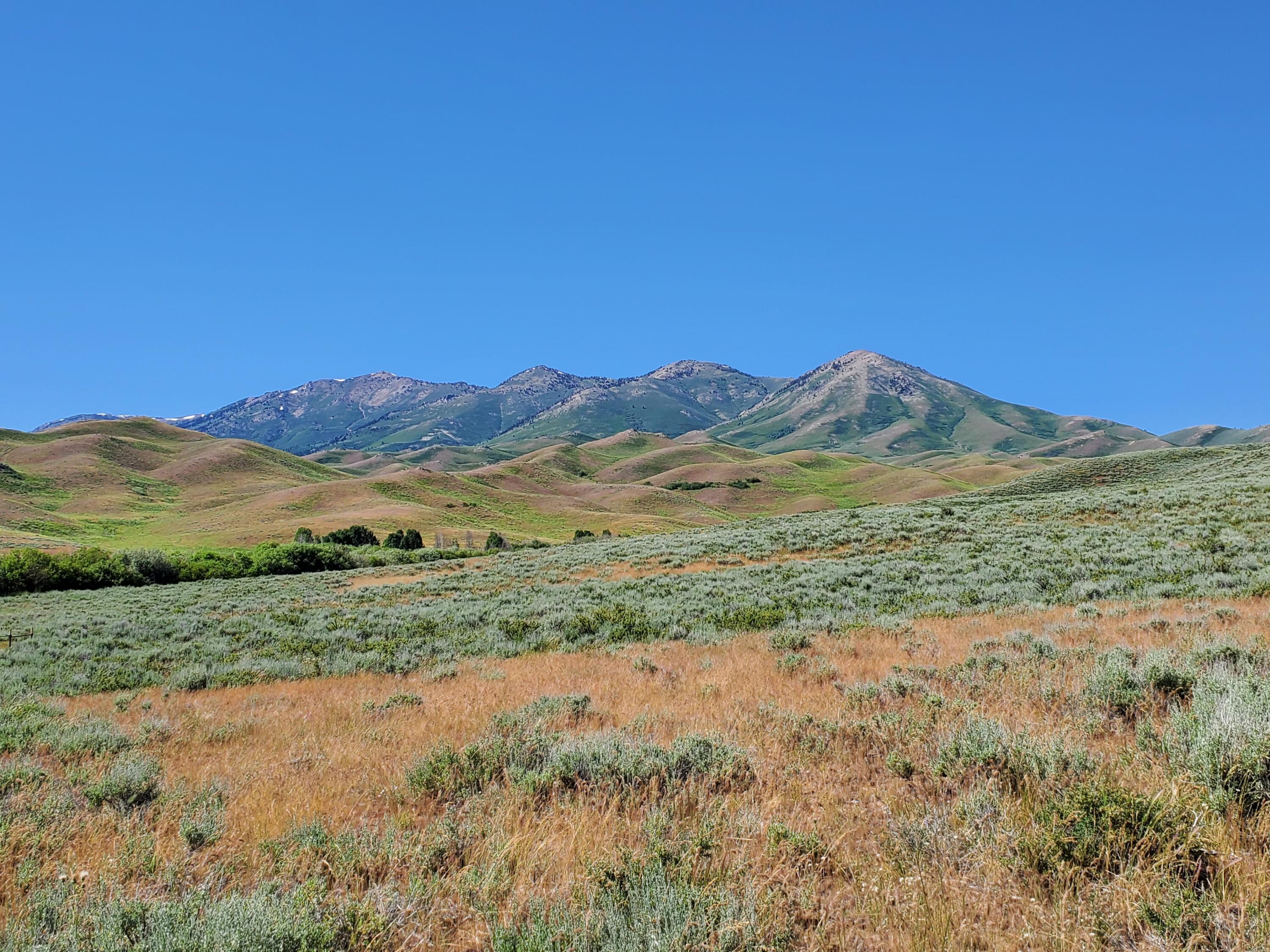 Homestead Rd/appalossa Dr., Fairfield, Idaho image 3