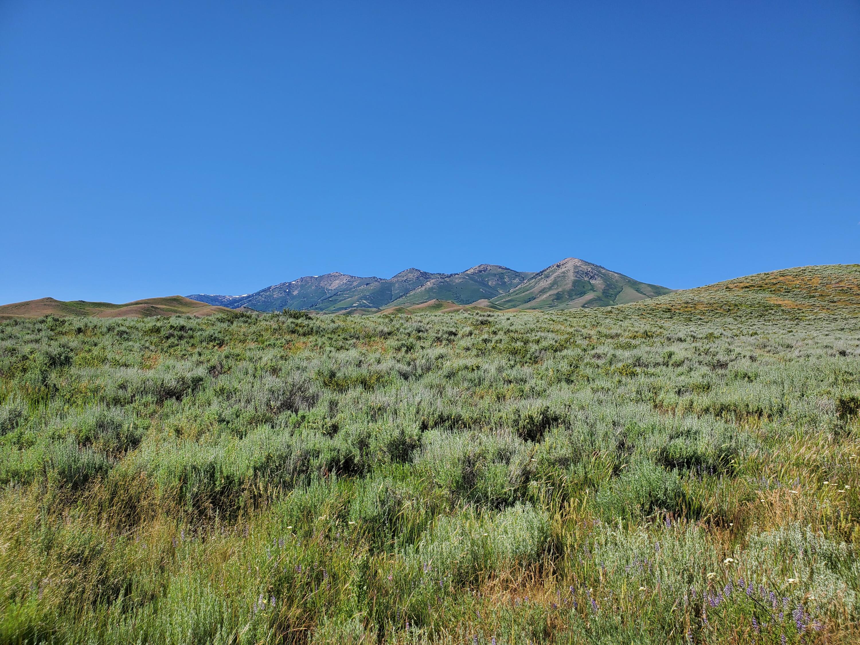 Homestead Rd/appalossa Dr., Fairfield, Idaho image 9