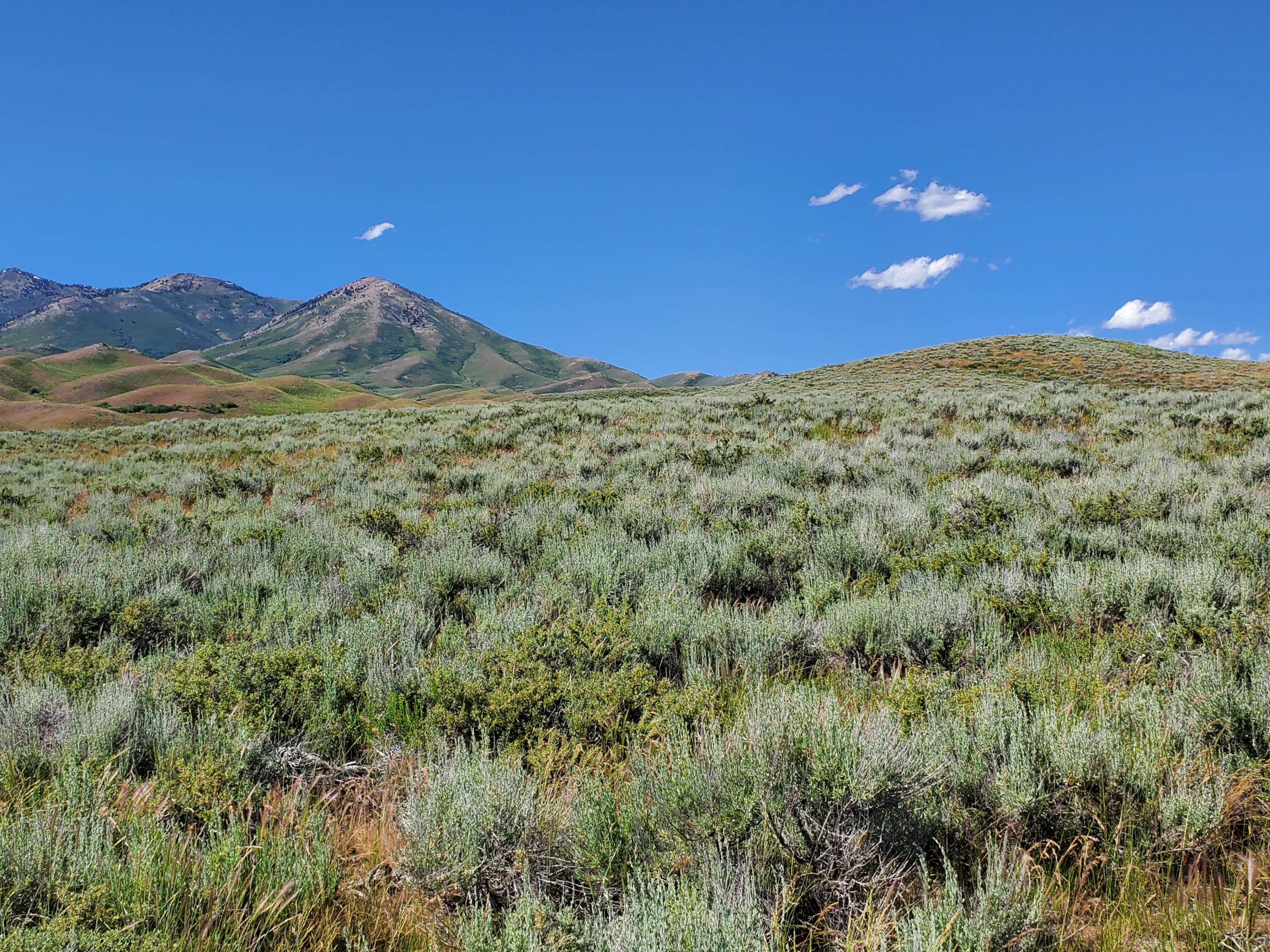 Homestead Rd/appalossa Dr., Fairfield, Idaho image 8