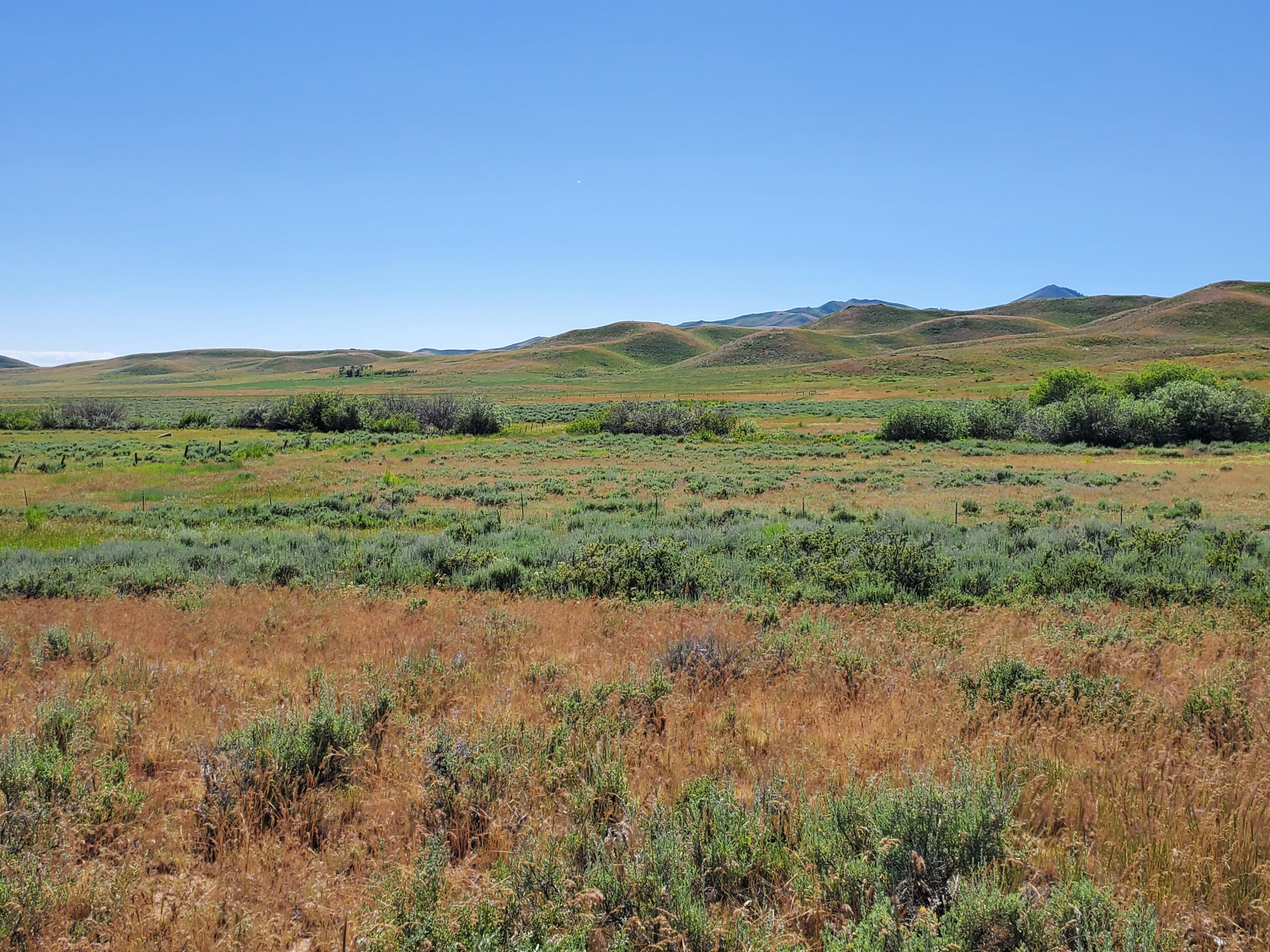 Homestead Rd/appalossa Dr., Fairfield, Idaho image 7