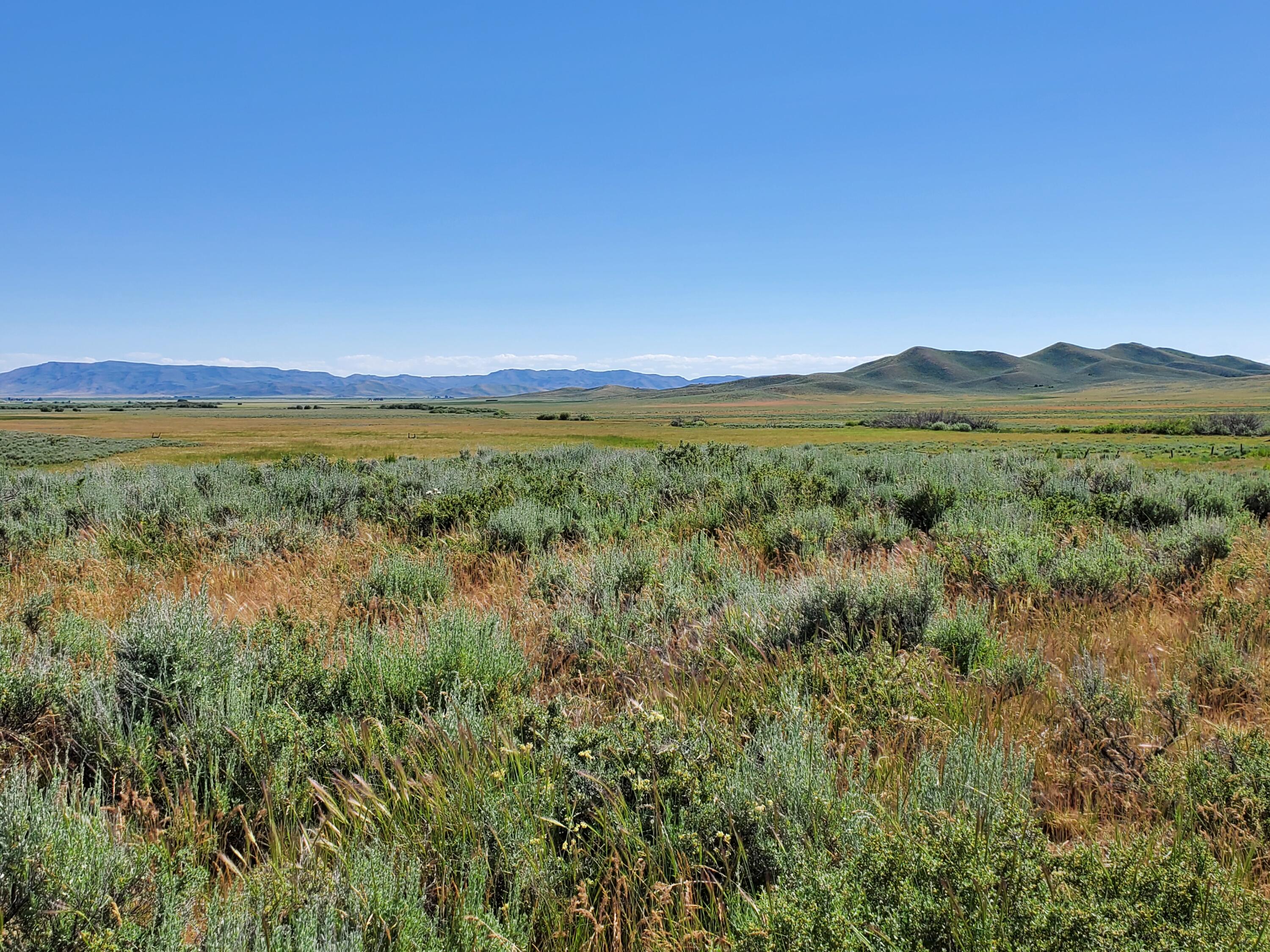 Homestead Rd/appalossa Dr., Fairfield, Idaho image 2