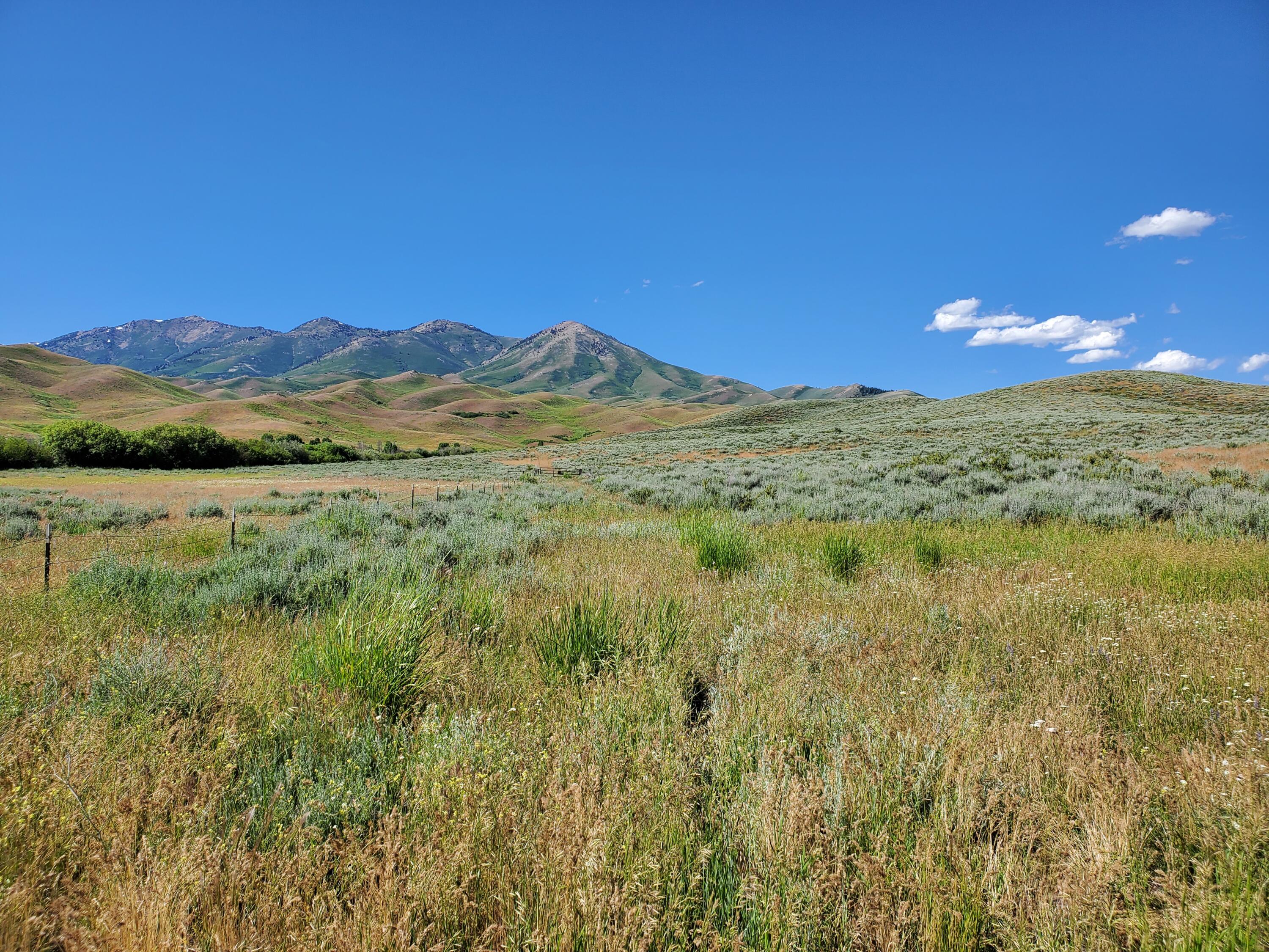 Homestead Rd/appalossa Dr., Fairfield, Idaho image 1