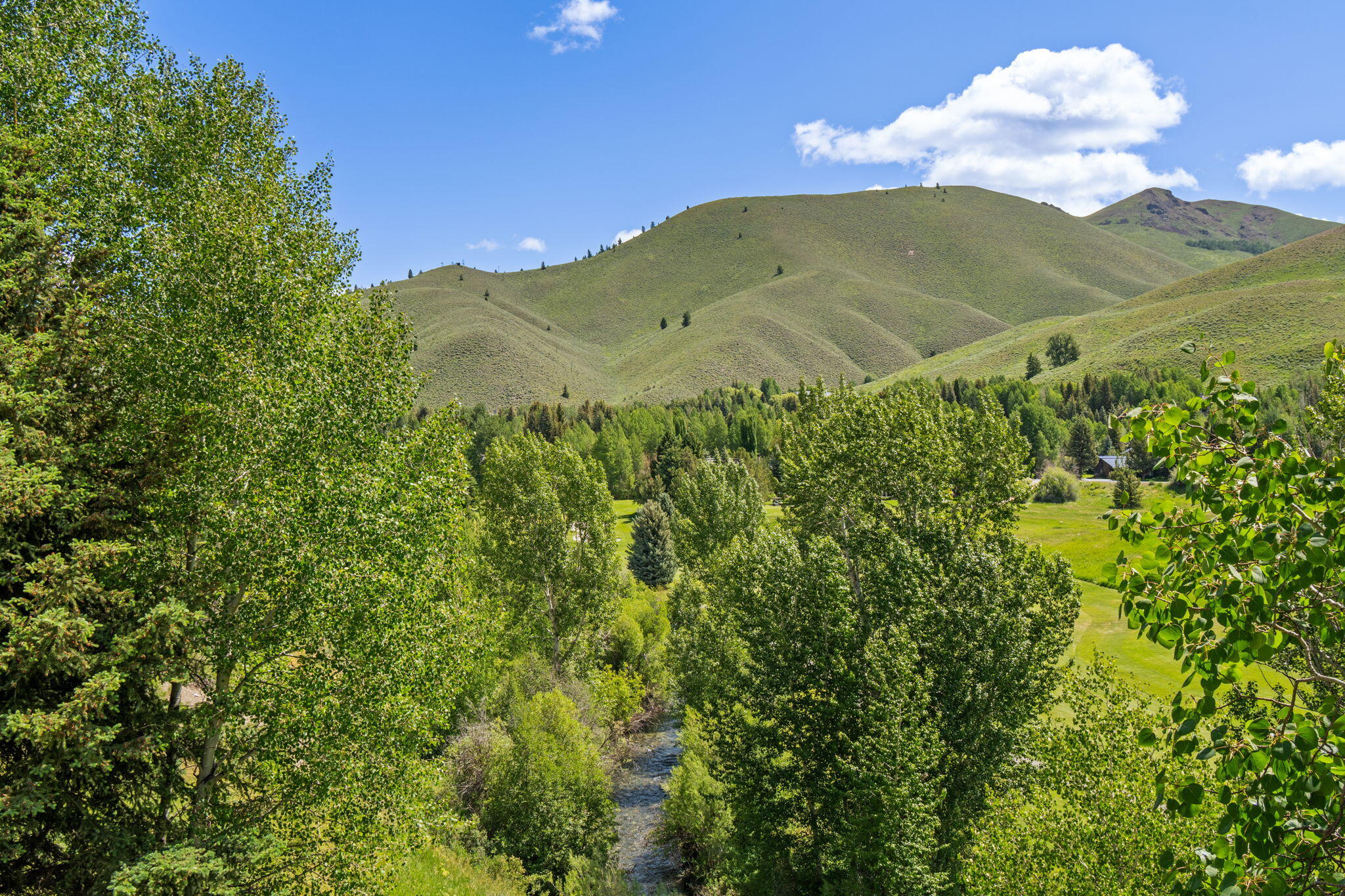 Views toward Trail Creek