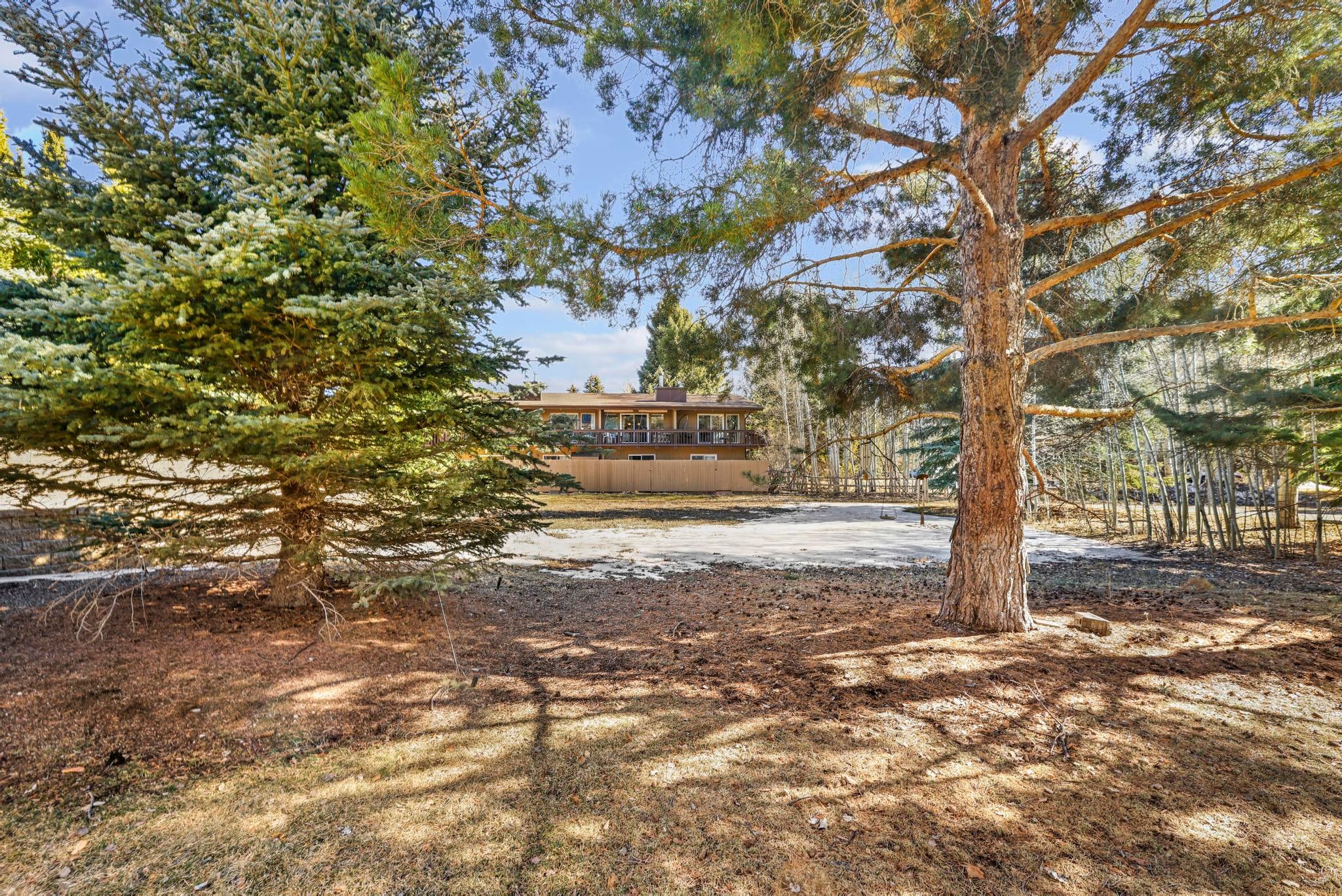 Mature Trees off of back Patios