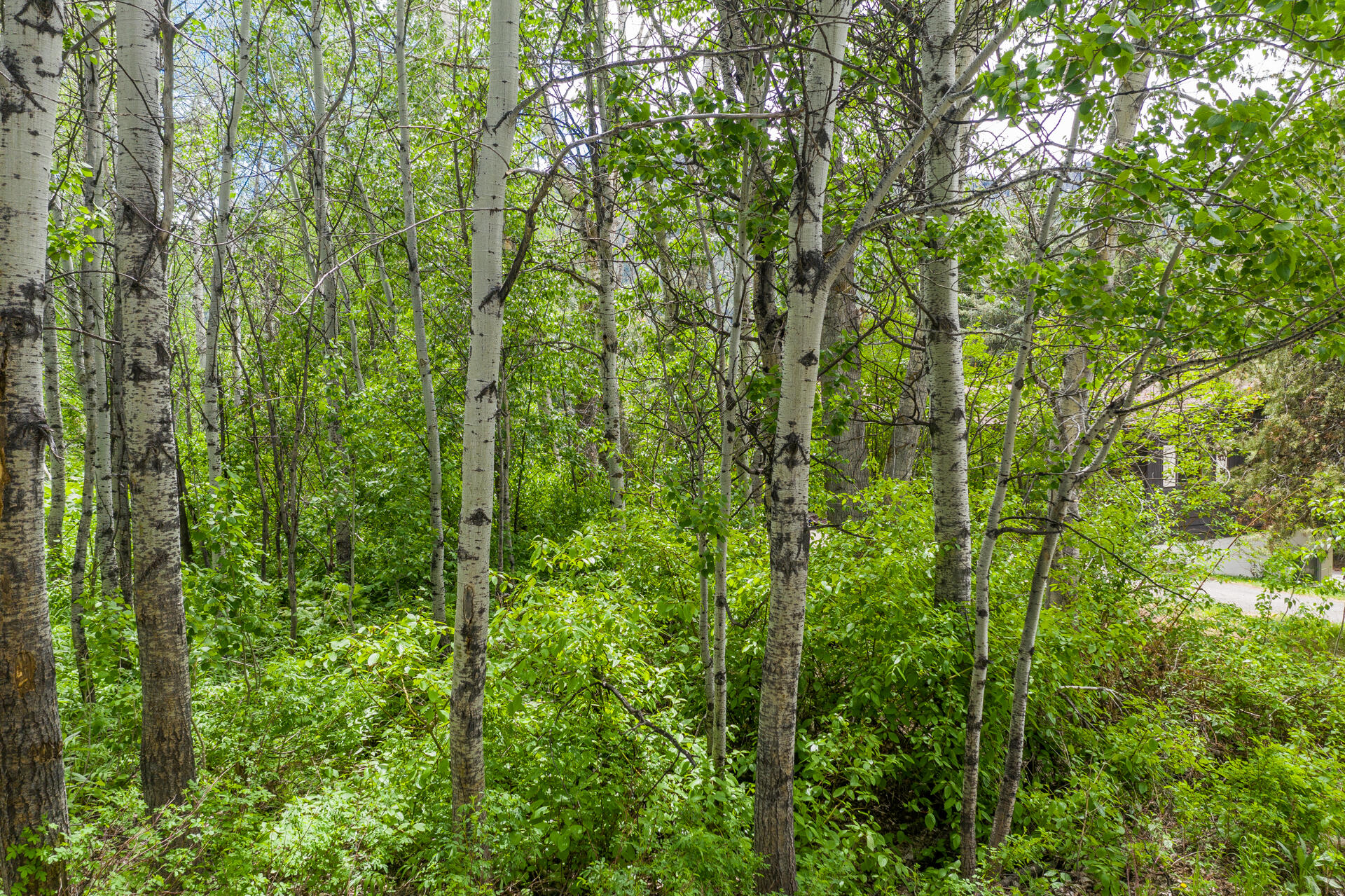 205 Jade St, Ketchum, Idaho image 8