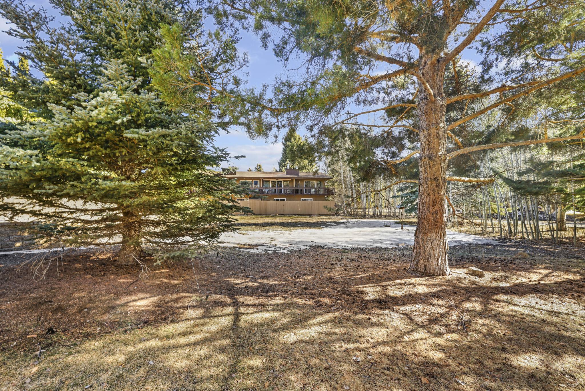 Mature Trees off of Back Patios