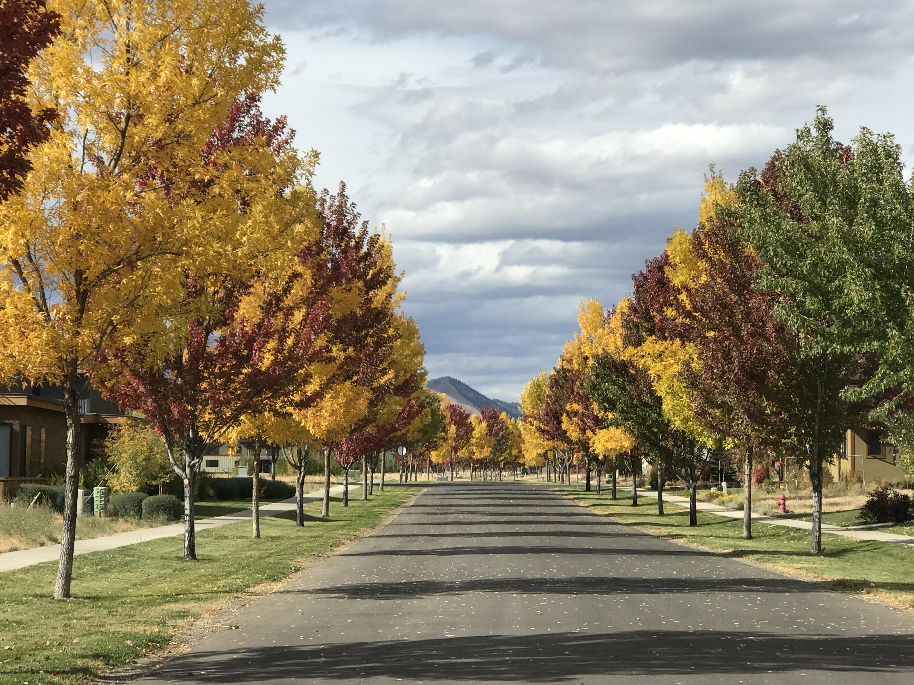 1050 E Myrtle St. (duplex Lot), Hailey, Idaho image 2