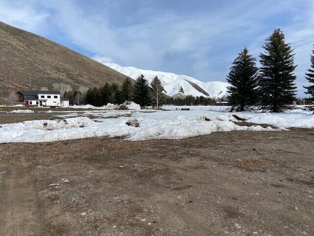 1050 E Myrtle St. (duplex Lot), Hailey, Idaho image 8