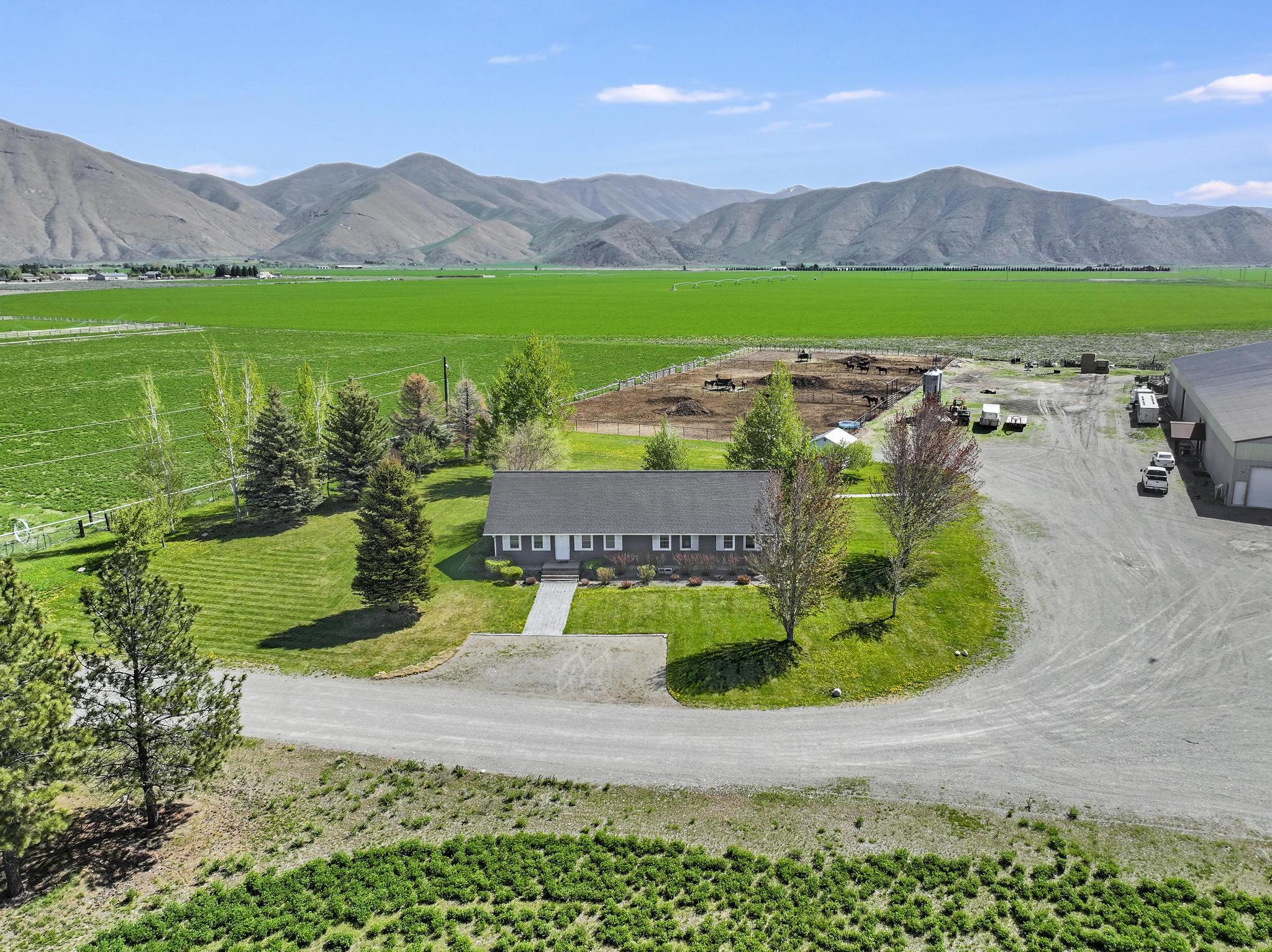 10727 State Highway 75, Bellevue, Idaho image 1
