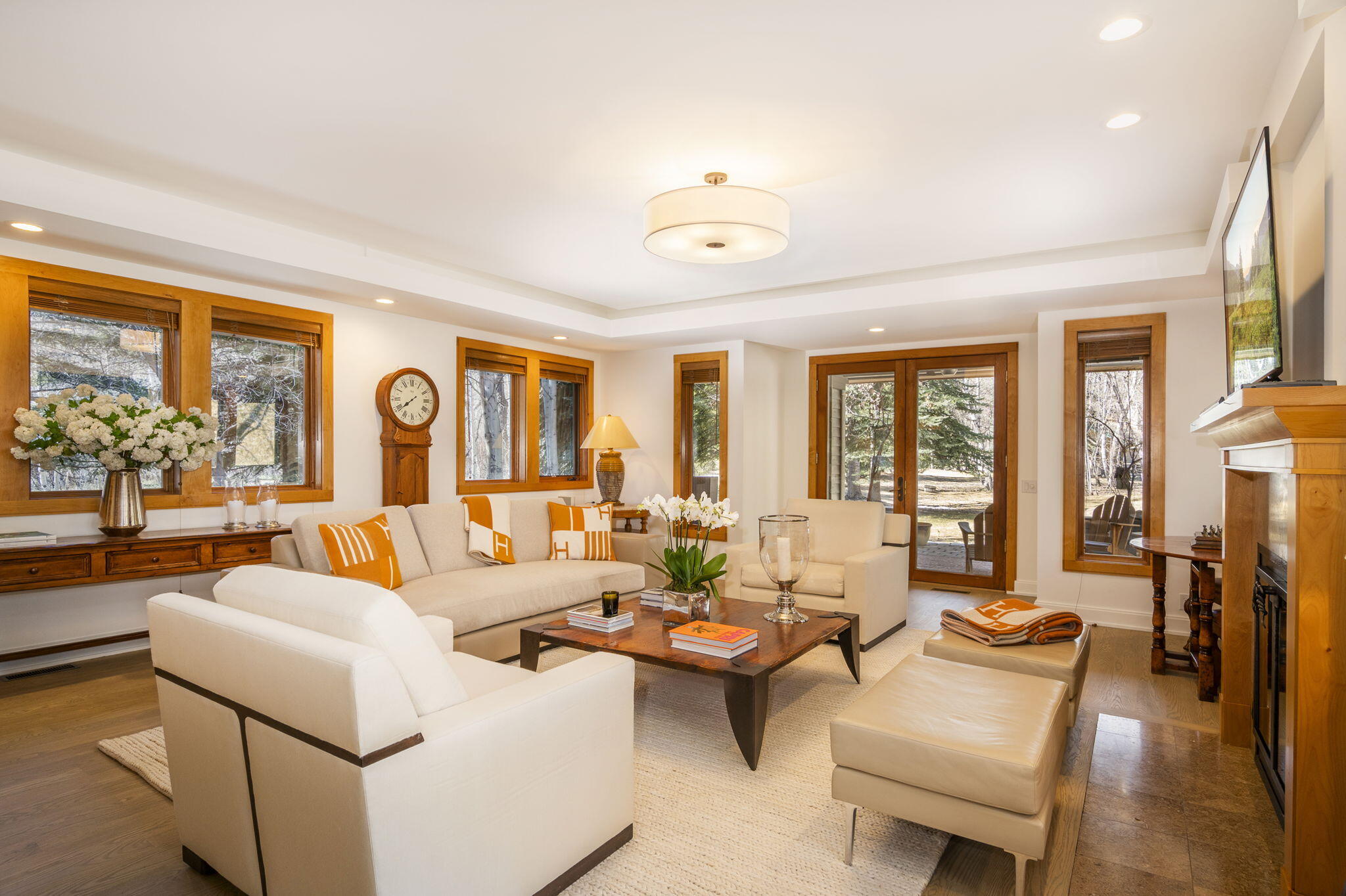 Views into Aspen Grove