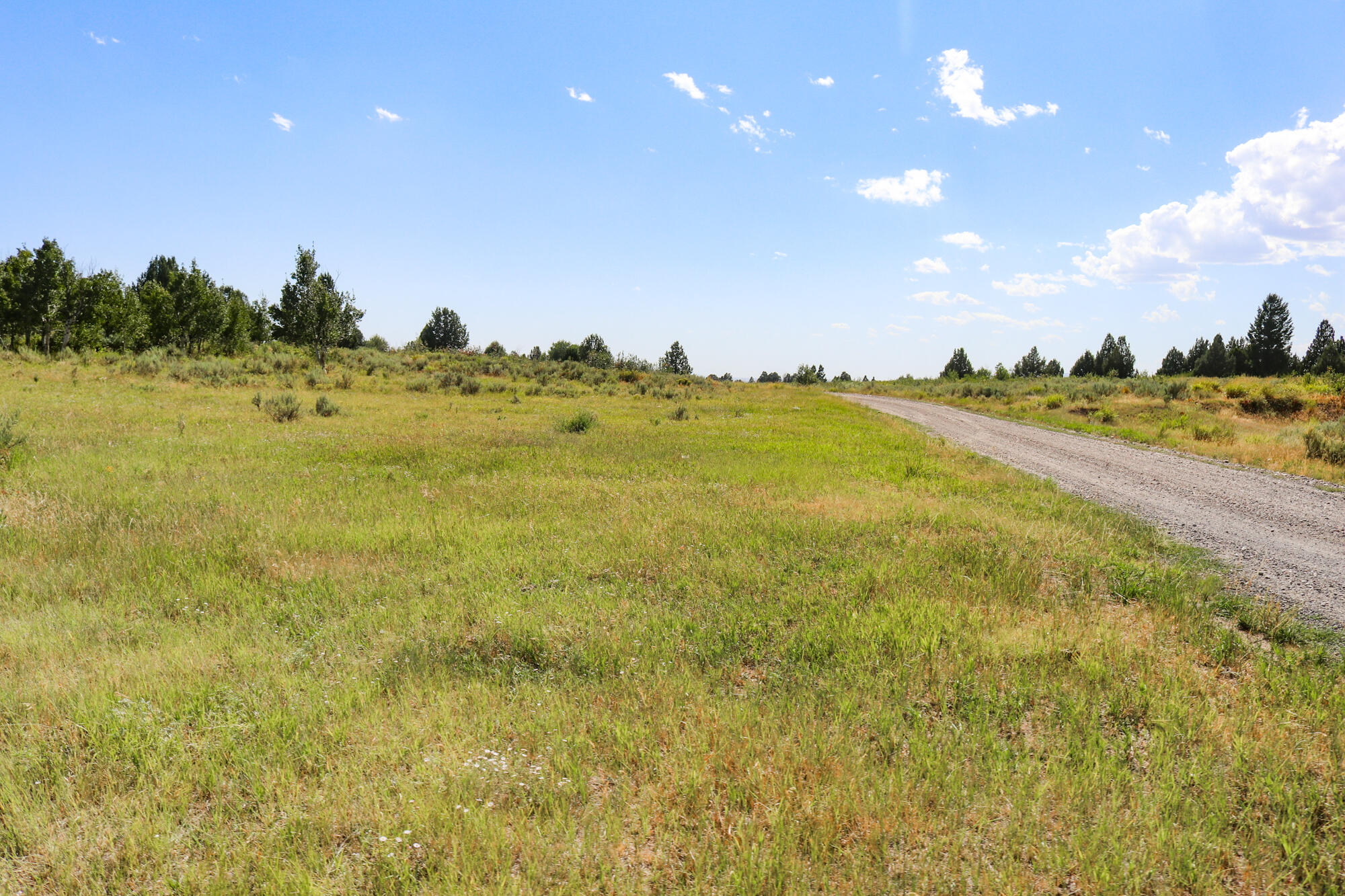 1780 Sadorus Hill Rd, Ashton, Idaho image 9