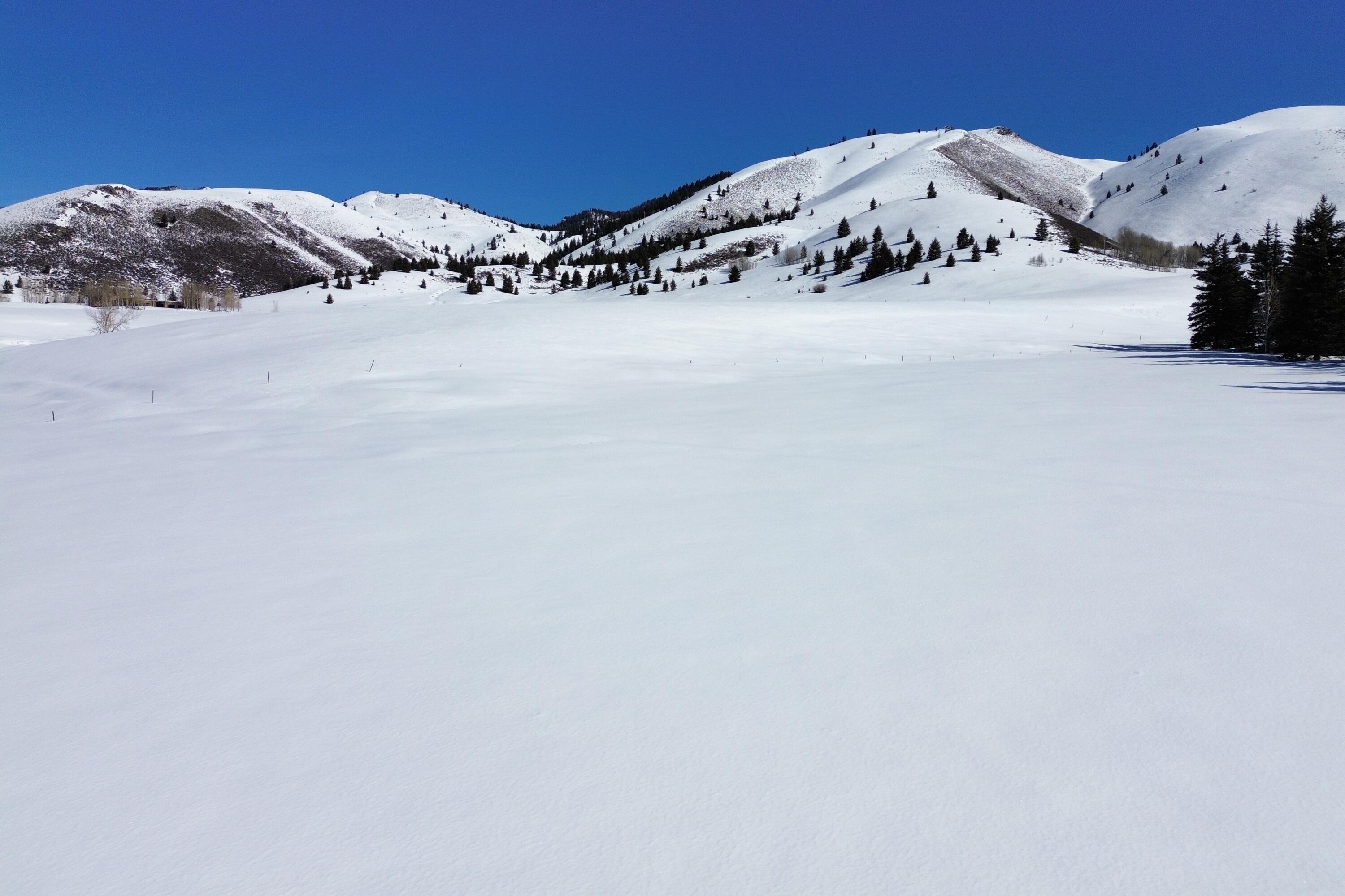 Blaine County, Idaho 83340, United States, ,Land,Active,93533