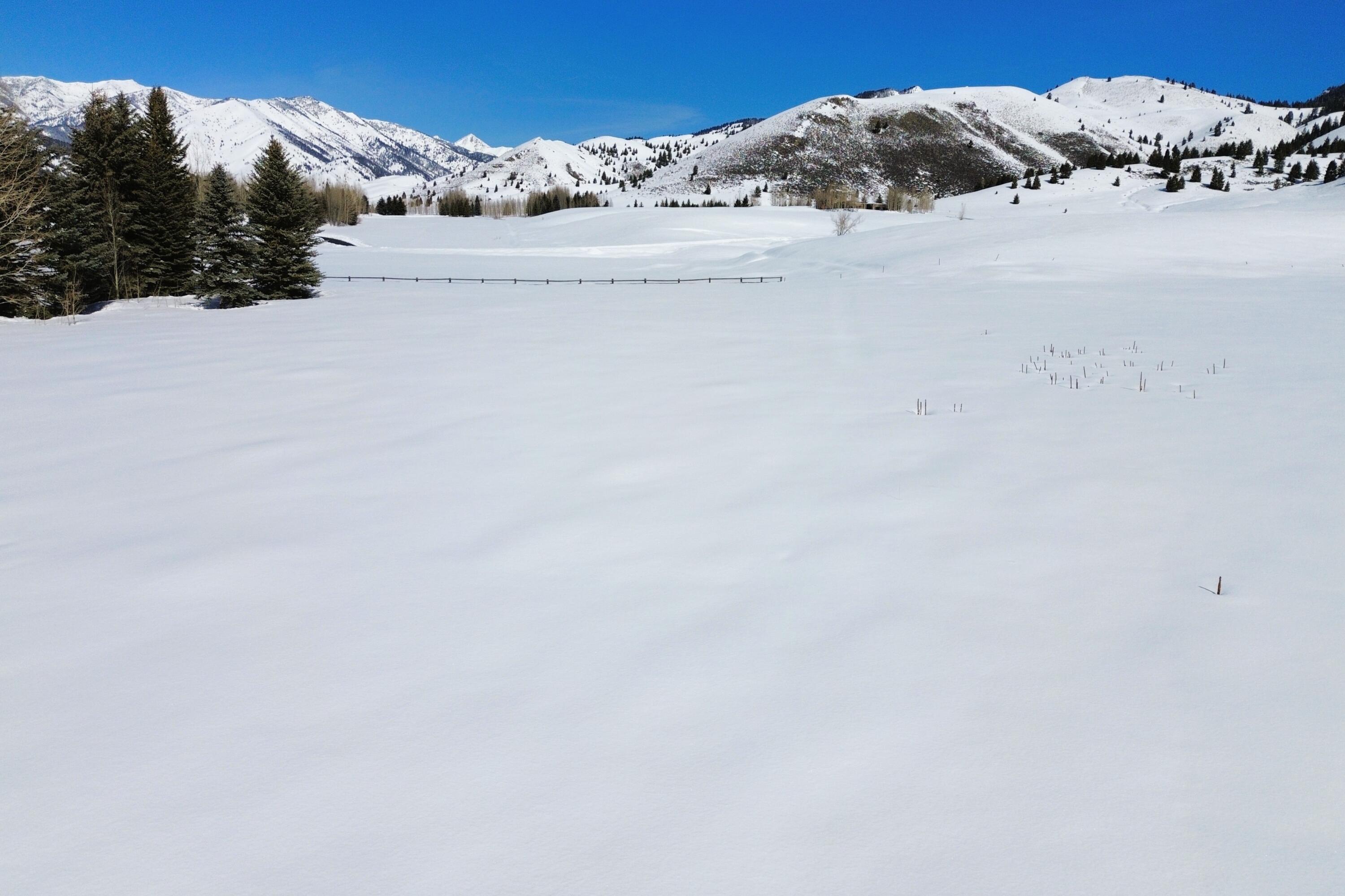 Blaine County, Idaho 83340, United States, ,Land,Active,93533