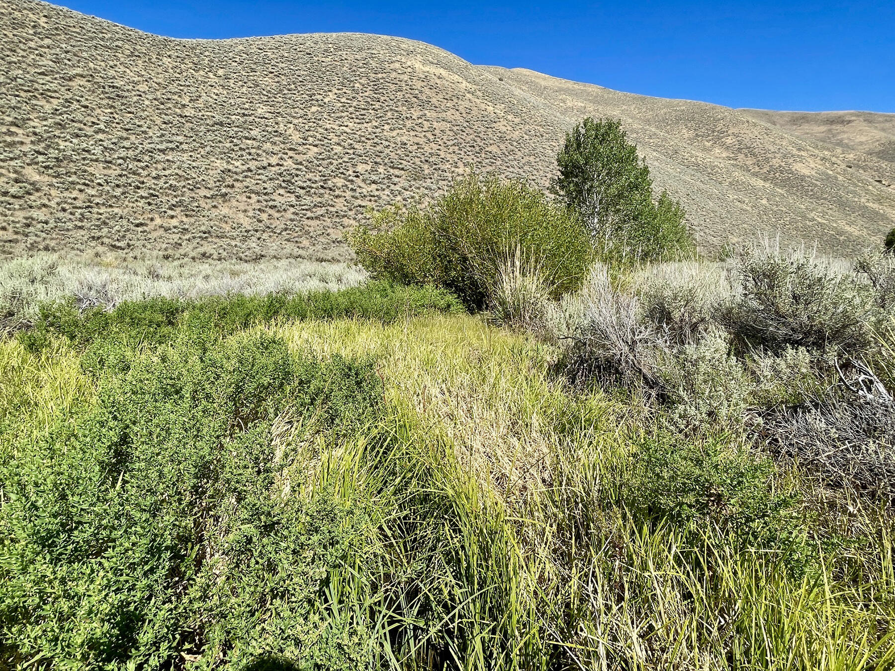 TBD Slaughterhouse Creek Rd, Bellevue, Idaho image 17