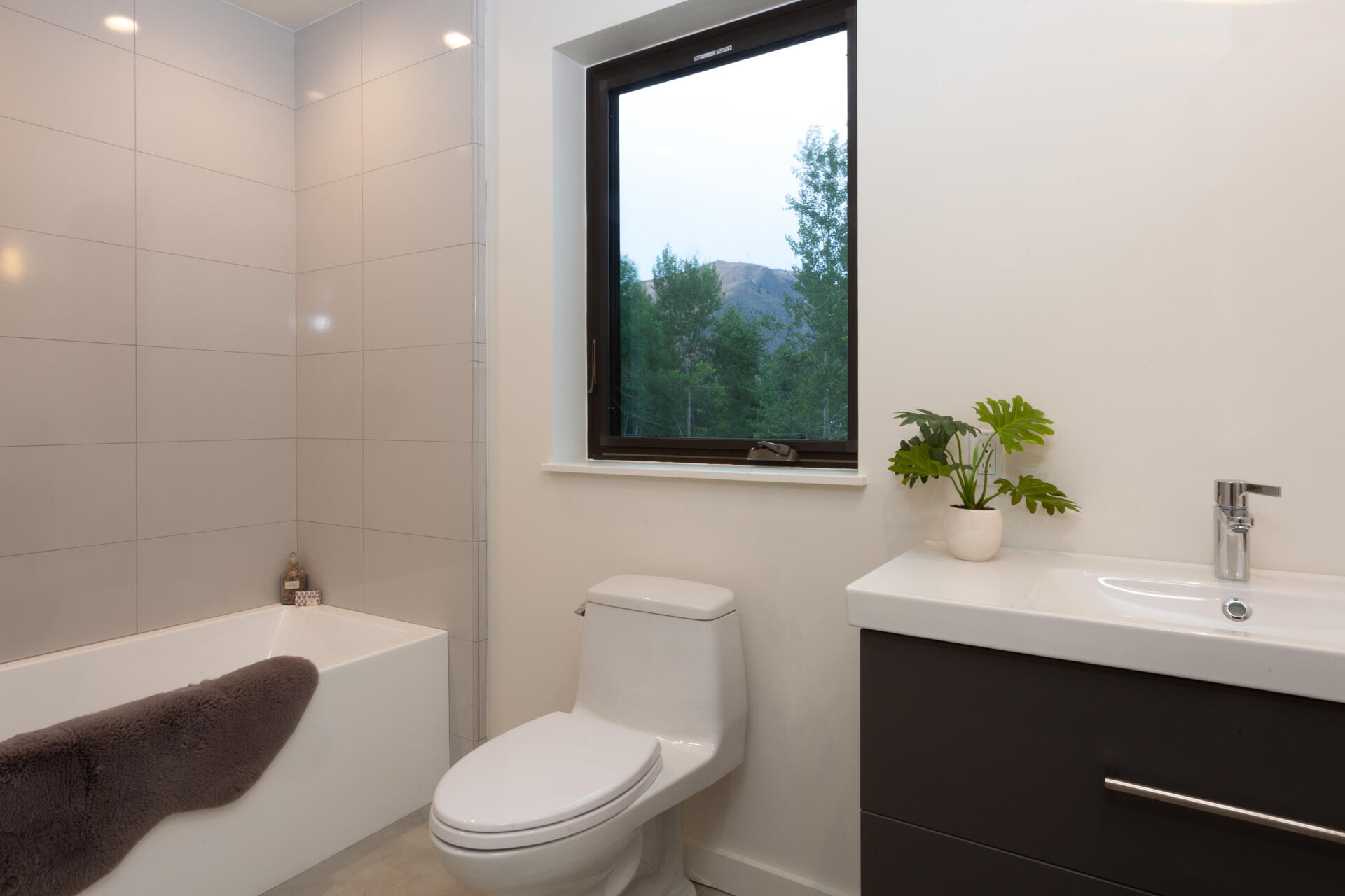 250 Amatopia Way, Hailey, Idaho image 6